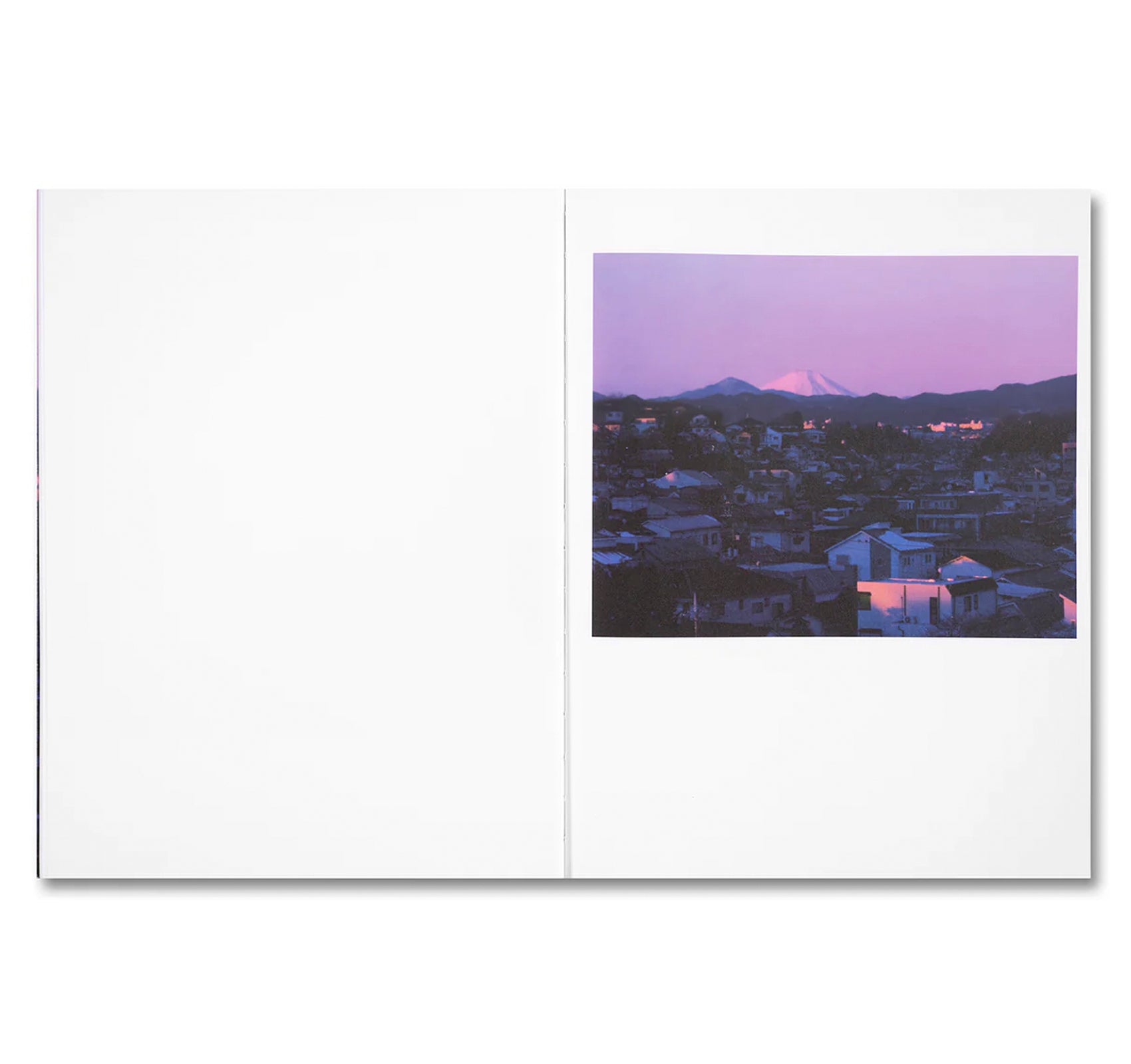 THIRTY-SIX VIEWS OF MOUNT FUJI by Takashi Homma