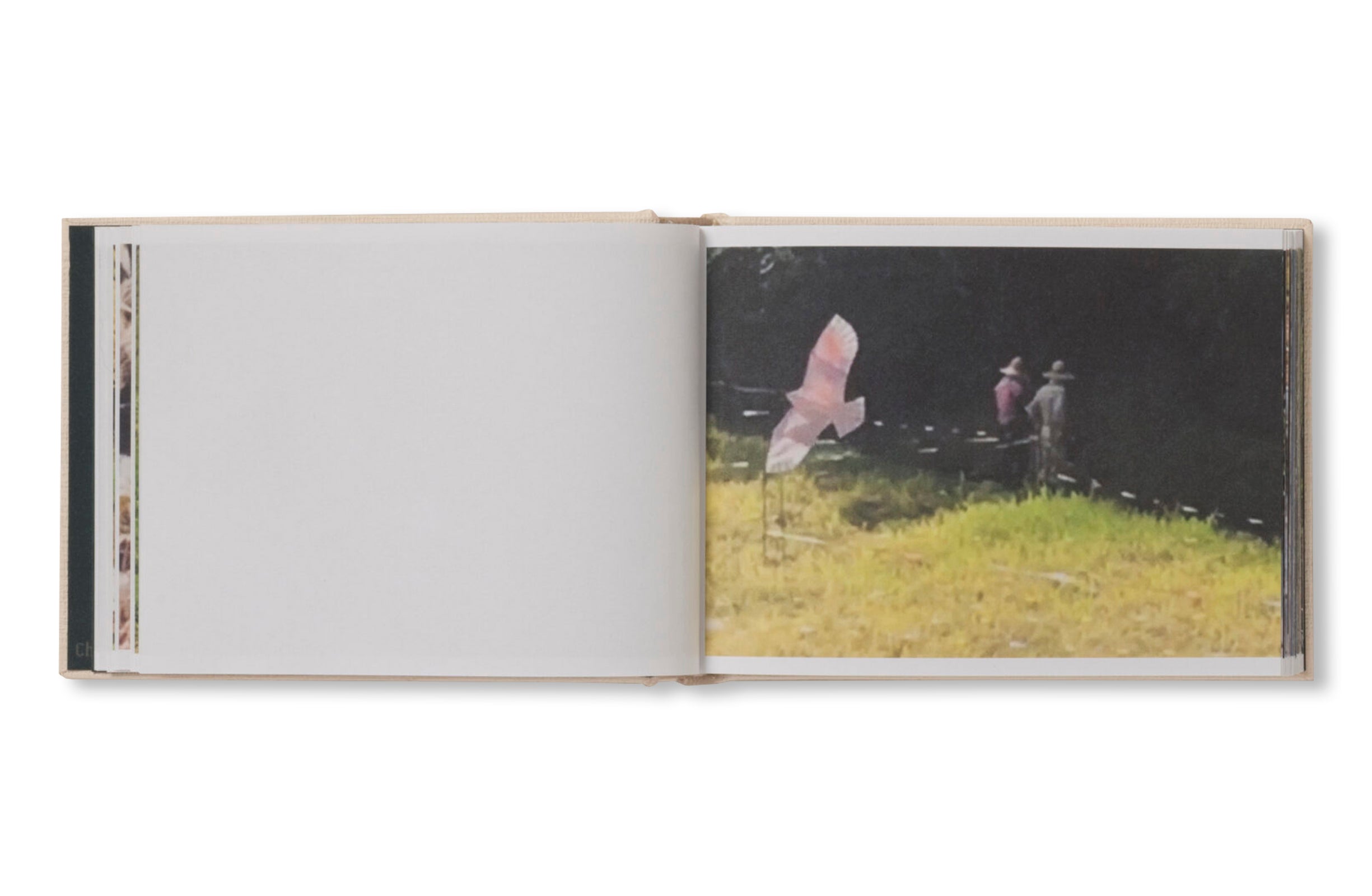 SCREENSHOTS FROM A SERIES OF VIDEOS ABOUT A RICE FIELD AND ITS SURROUNDINGS by Cintia Tortosa Santisteban