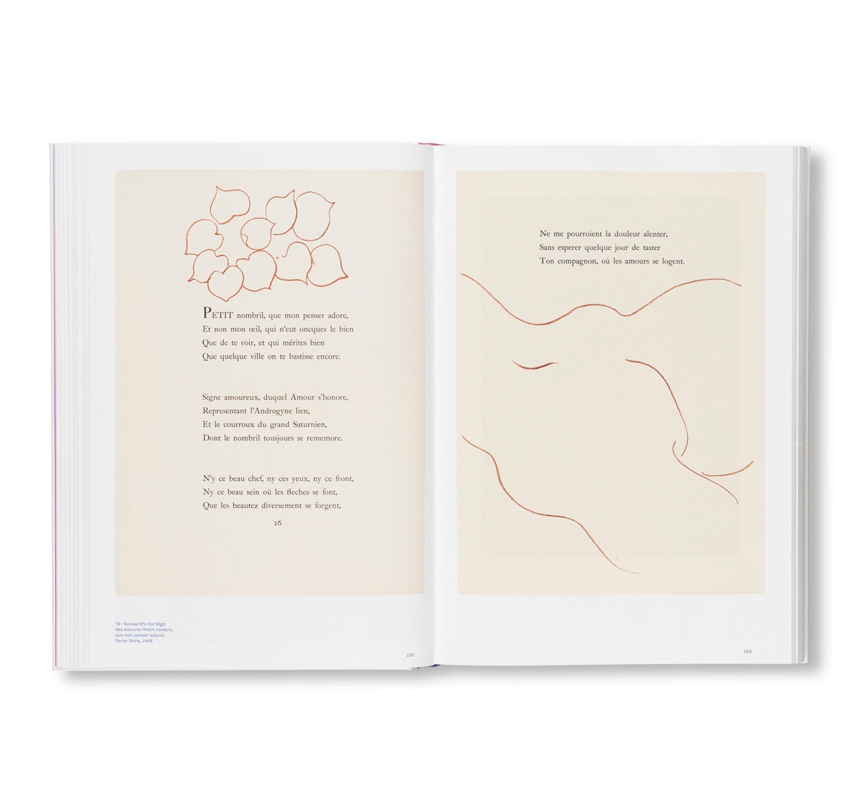 COLOUR UNBOUND: HENRI MATISSE 1941–1954 by Henri Matisse