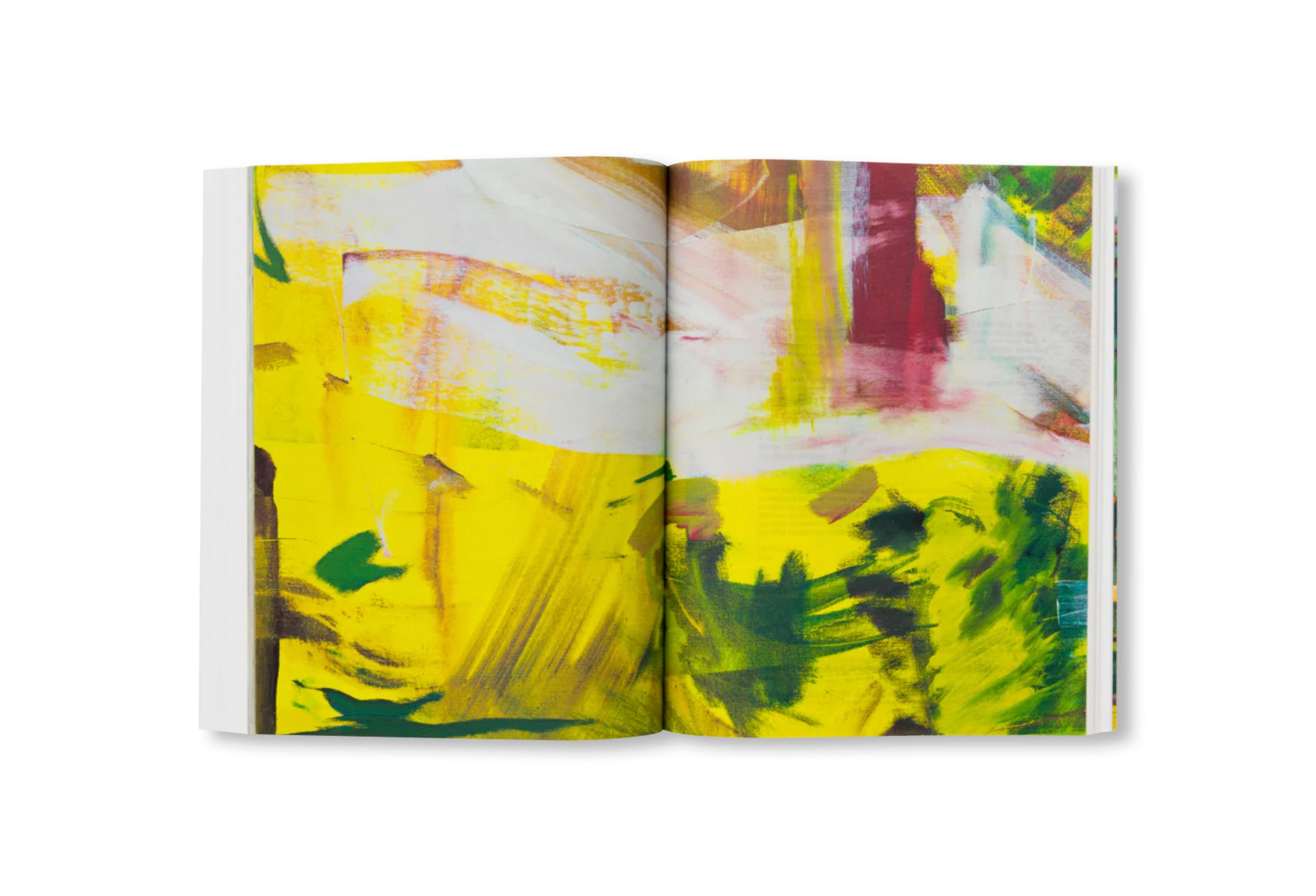 PICTURE MAKING by Cecily Brown [ENGLISH EDITION]