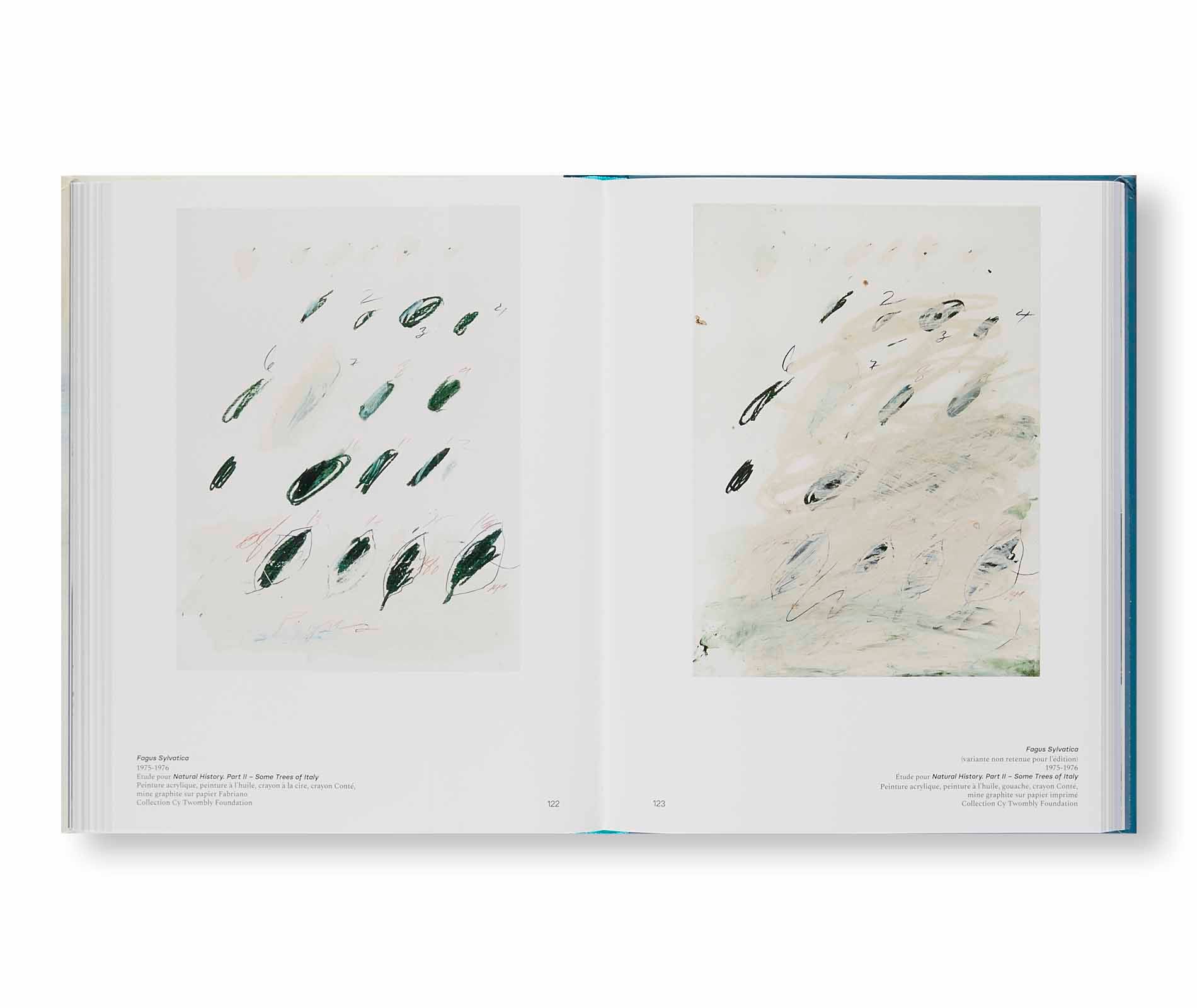 CY TWOMBLY. ŒUVRES GRAPHIQUES (1973-1977) by Cy Twombly