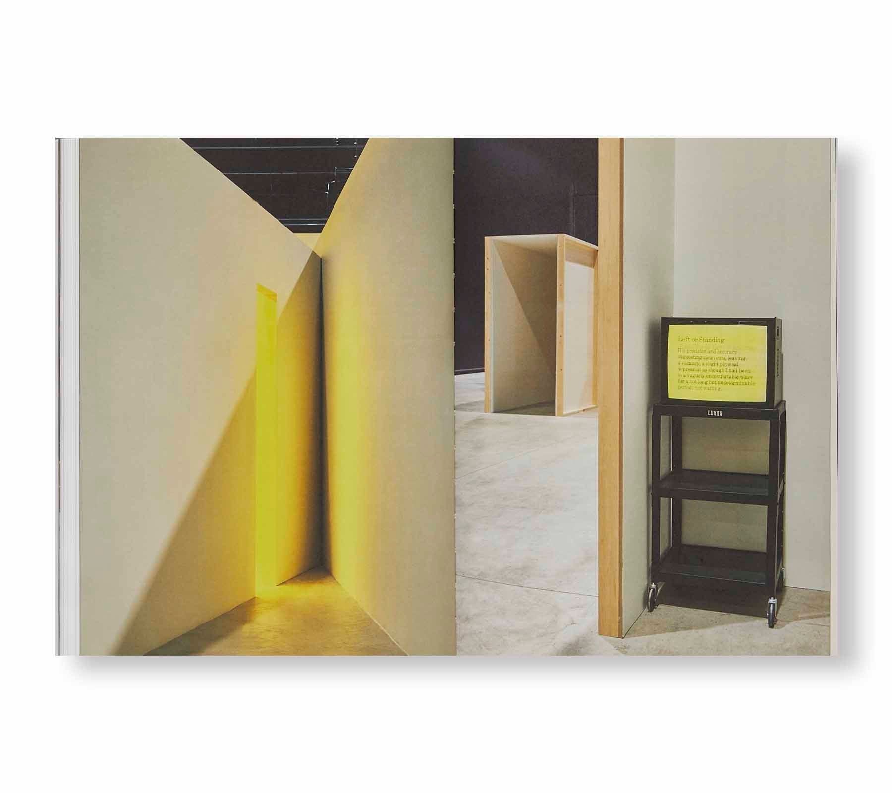 NEONS CORRIDORS ROOMS by Bruce Nauman