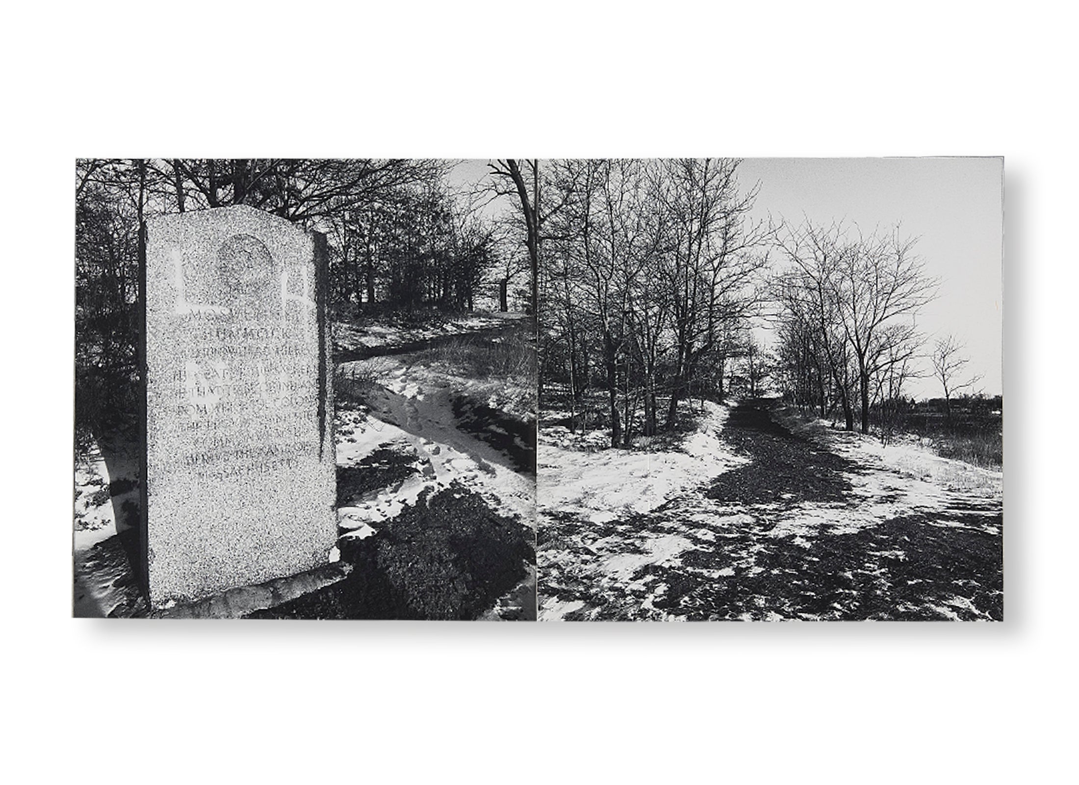 QUINCY by Carl Andre