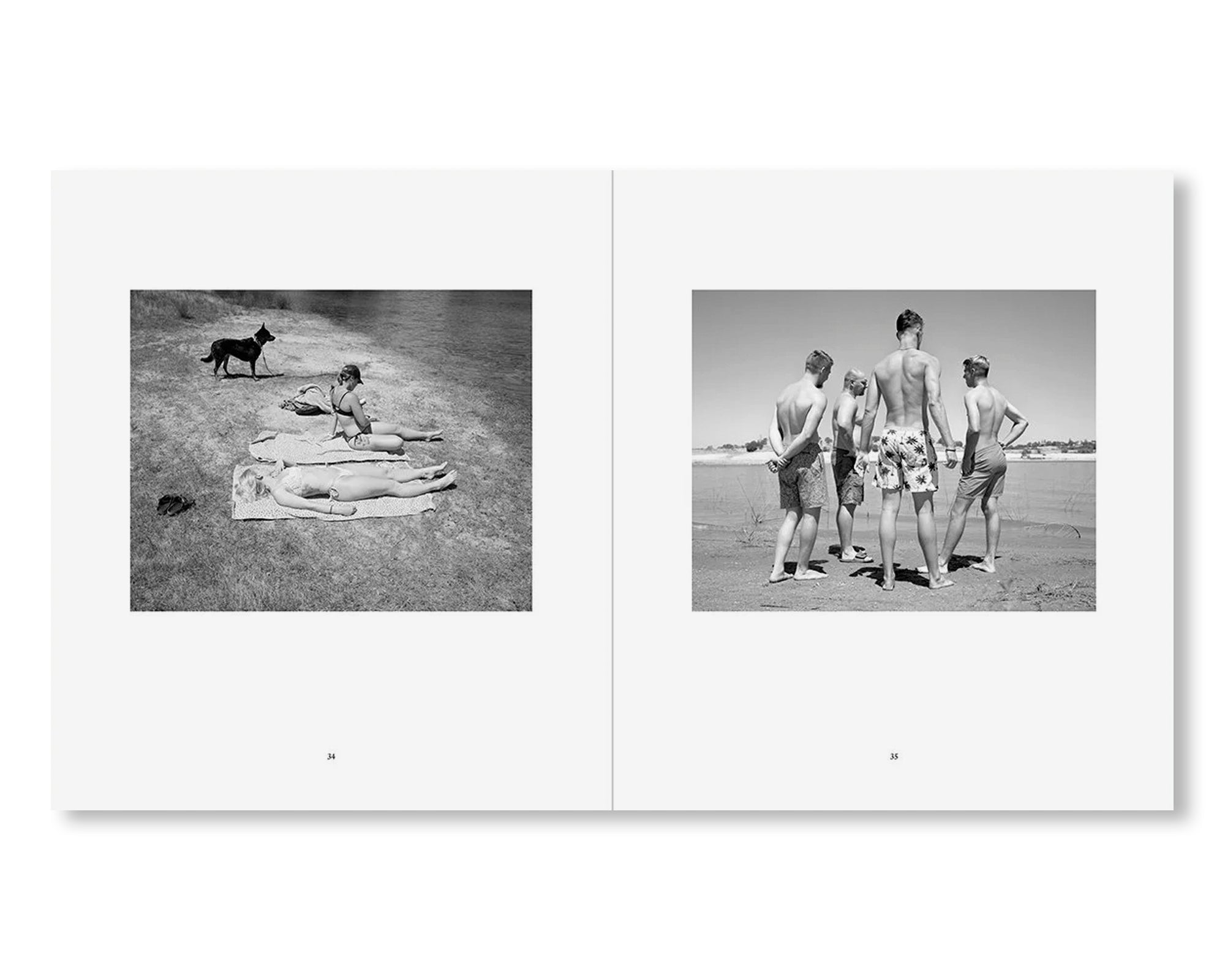 THE RESERVOIR by Mimi Plumb