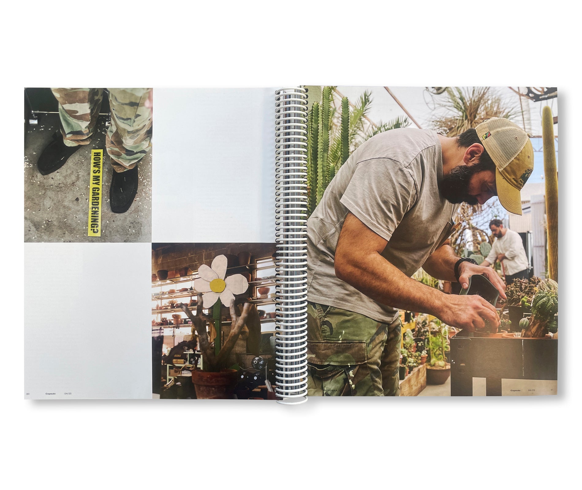 CAPSULE ISSUE 4 – THE ARCHITECTURE OF DSM