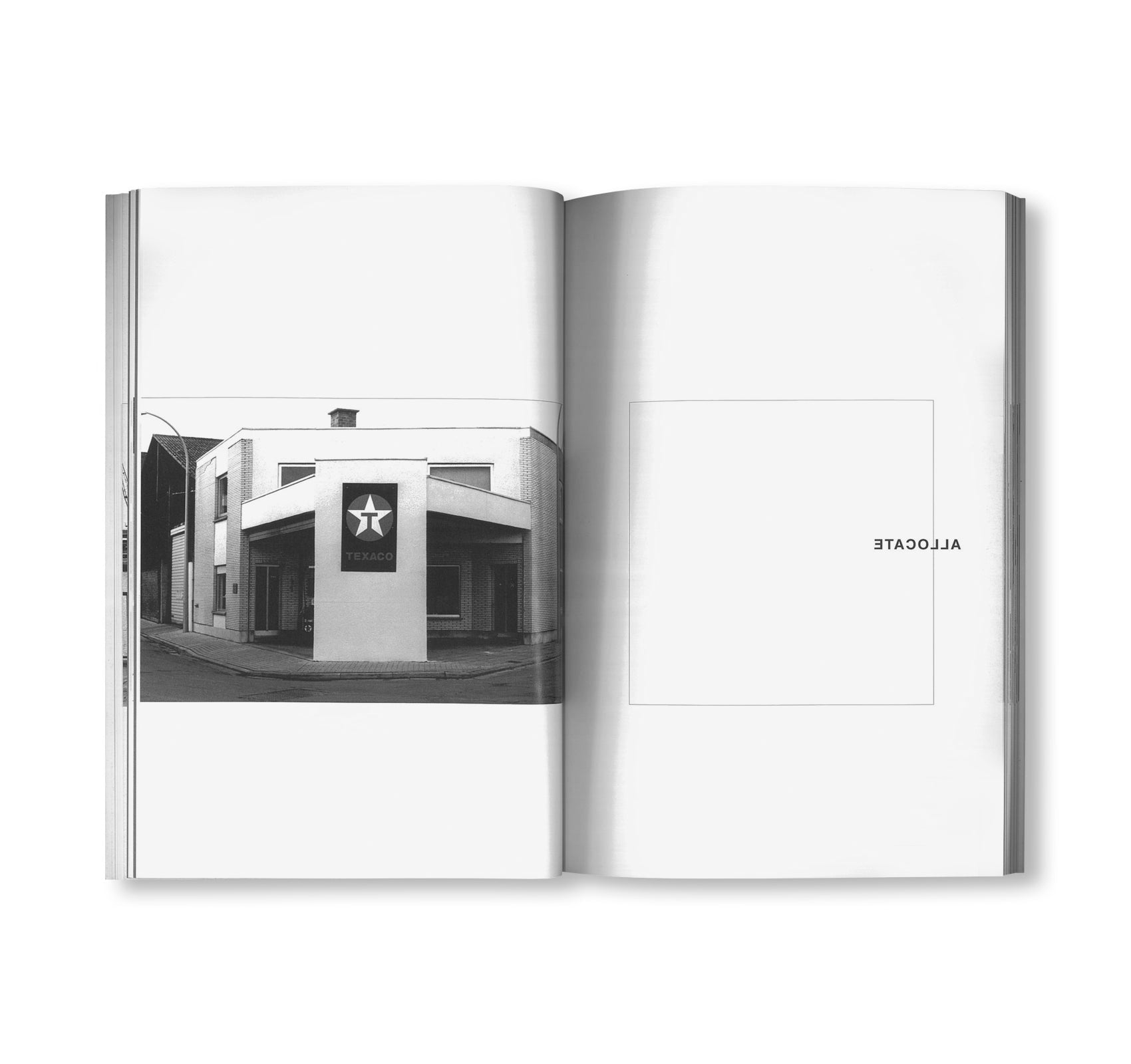 MANY by Peter Downsbrough