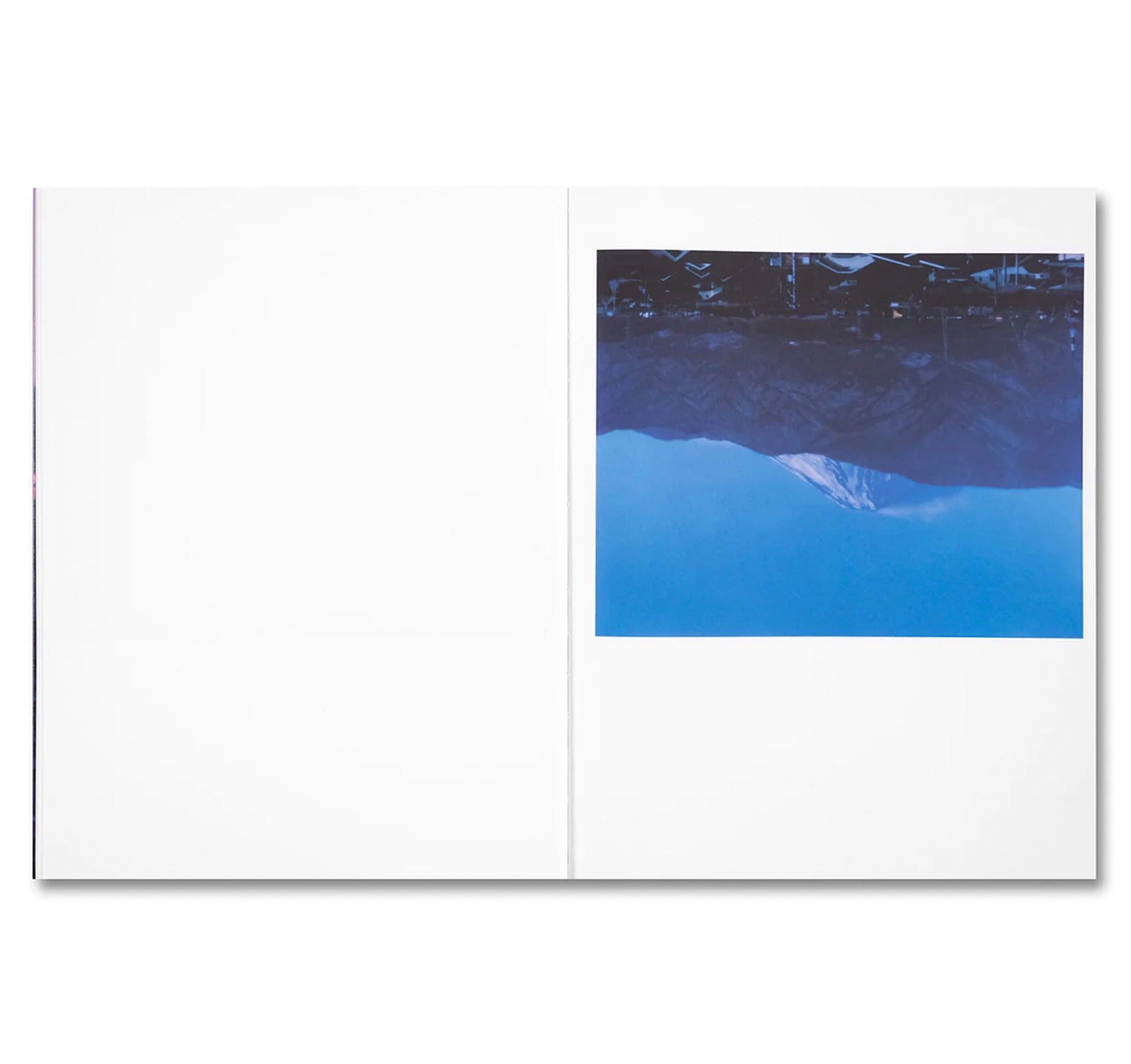THIRTY-SIX VIEWS OF MOUNT FUJI by Takashi Homma