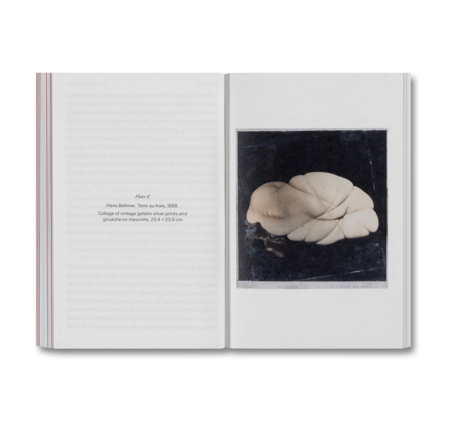 THE DEVOURING EYE: PHOTOGRAPHY AND THE MOUTH by Olivier Richon