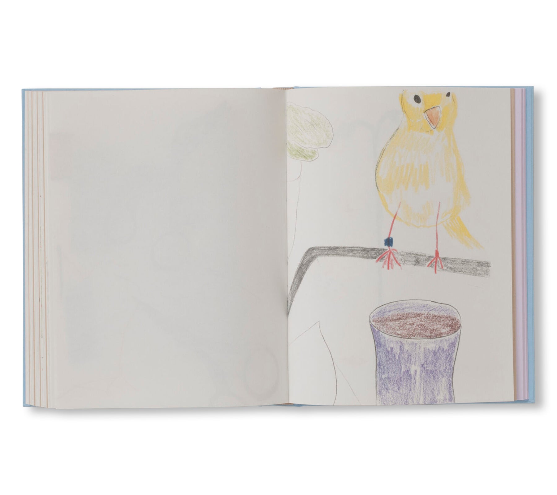 CARNETS by Johanna Tagada