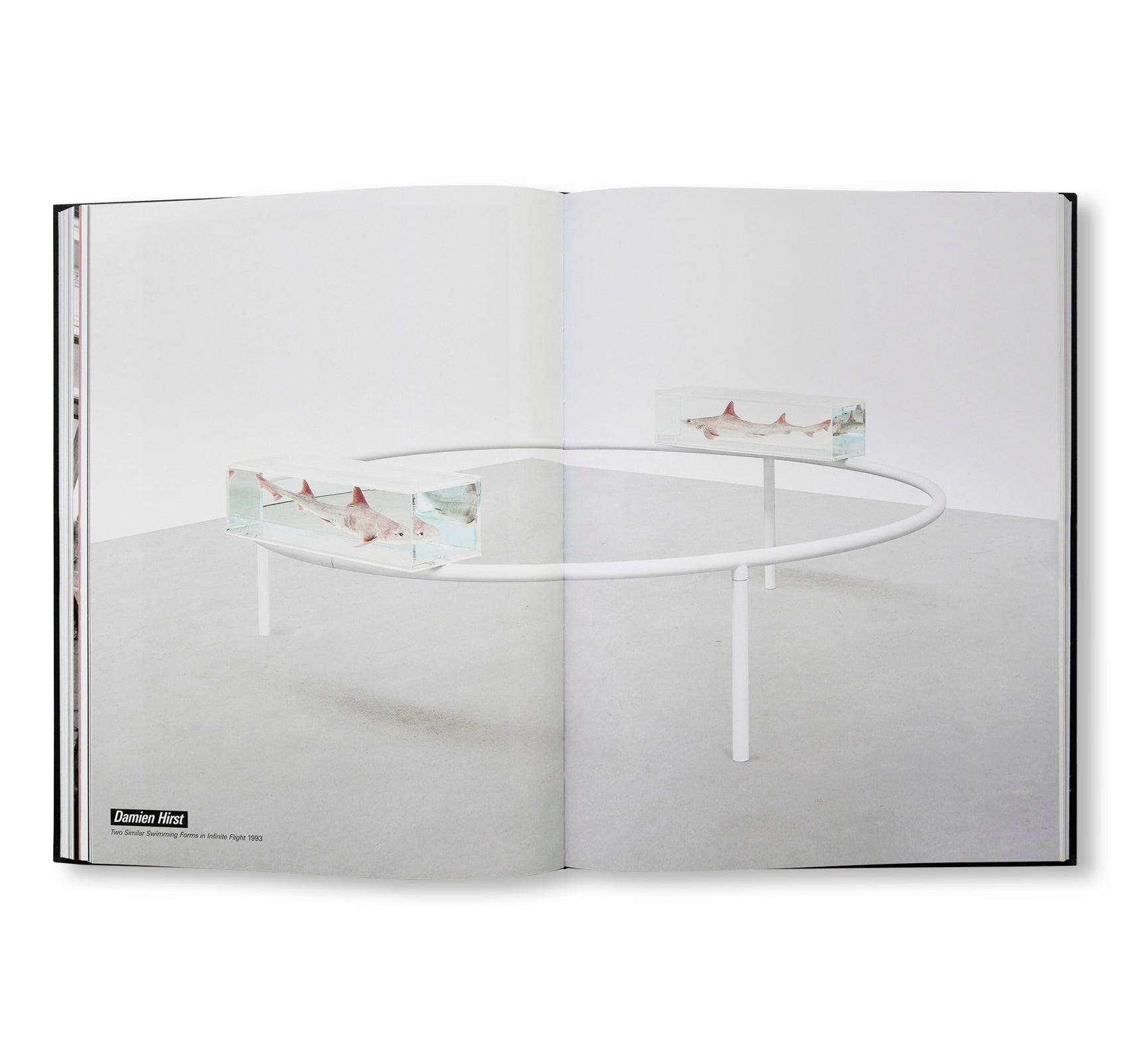 THE 90S: ART AND FASHION [HARDCOVER / JUERGEN TELLER COVER EDITION]