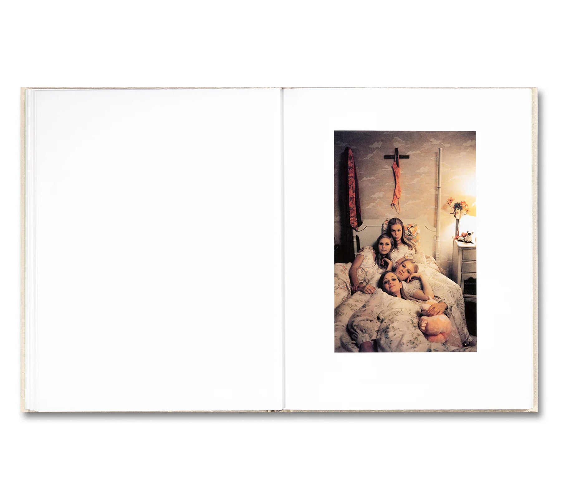 THE VIRGIN SUICIDES by Sofia Coppola