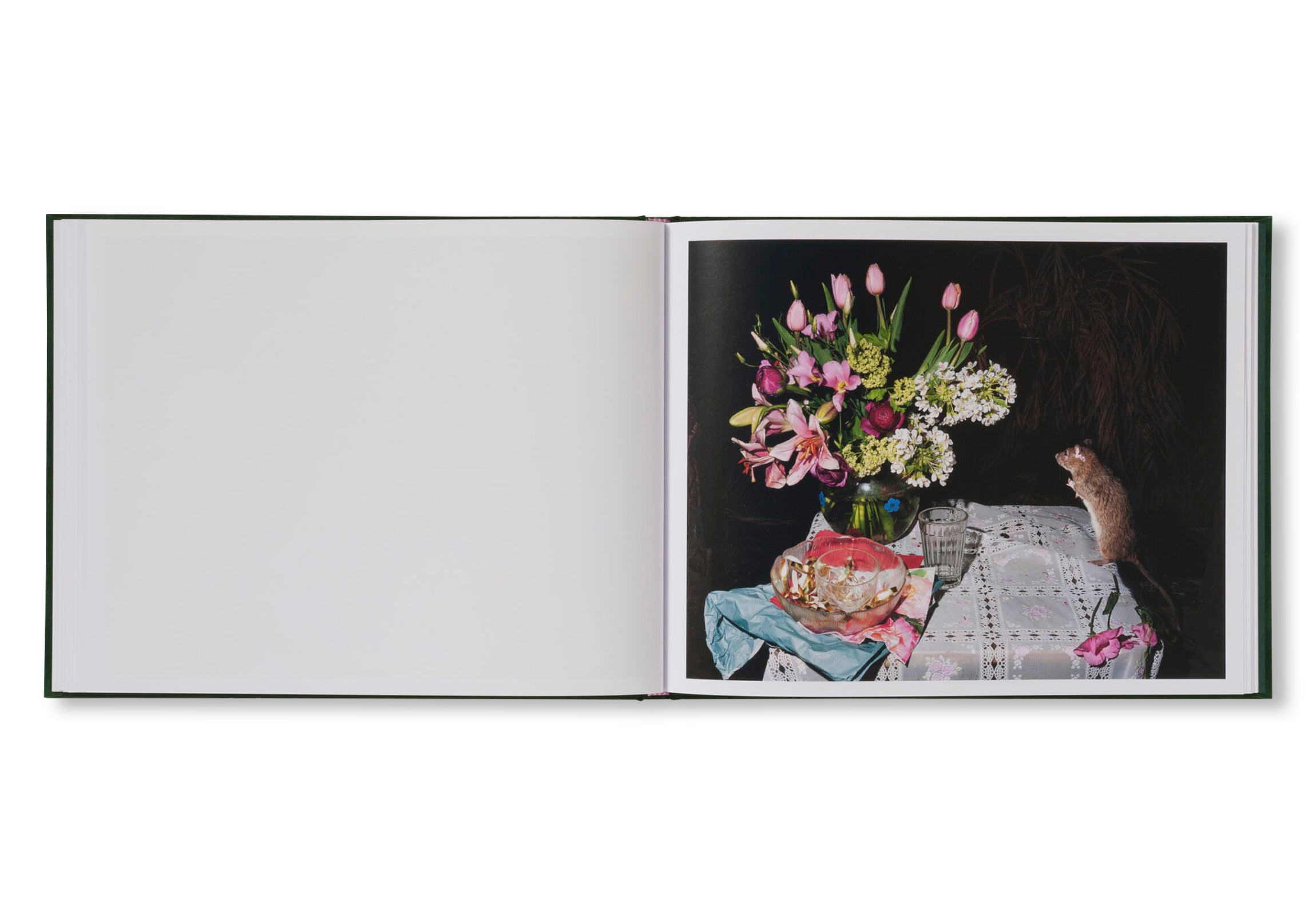 PLATES I-XXXI by Lia Darjes