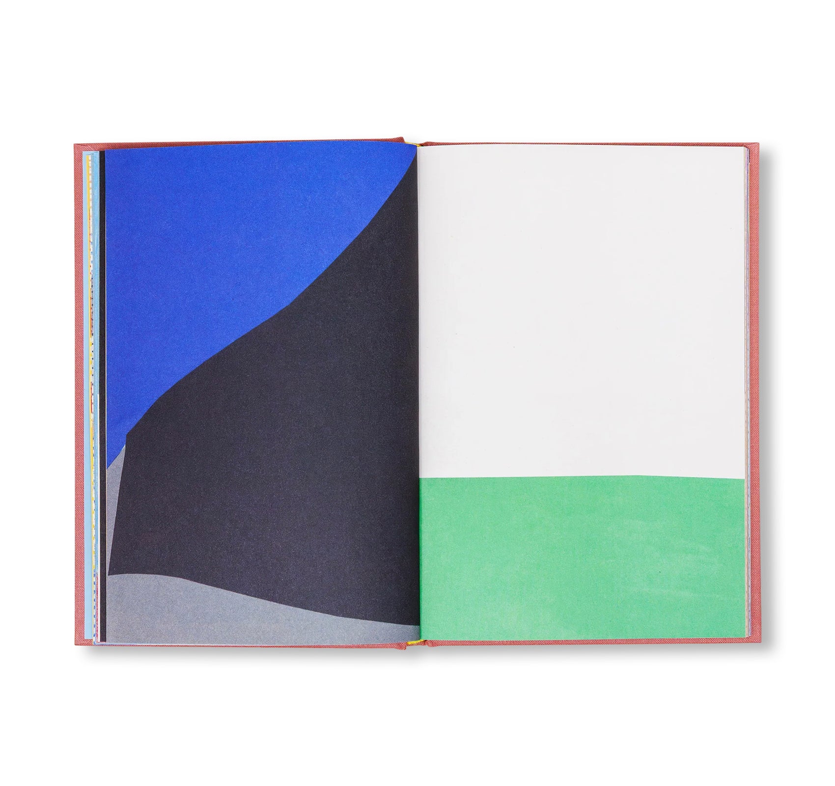 APPUNTI SU ALCUNI DIPINTI by Nigel Peake