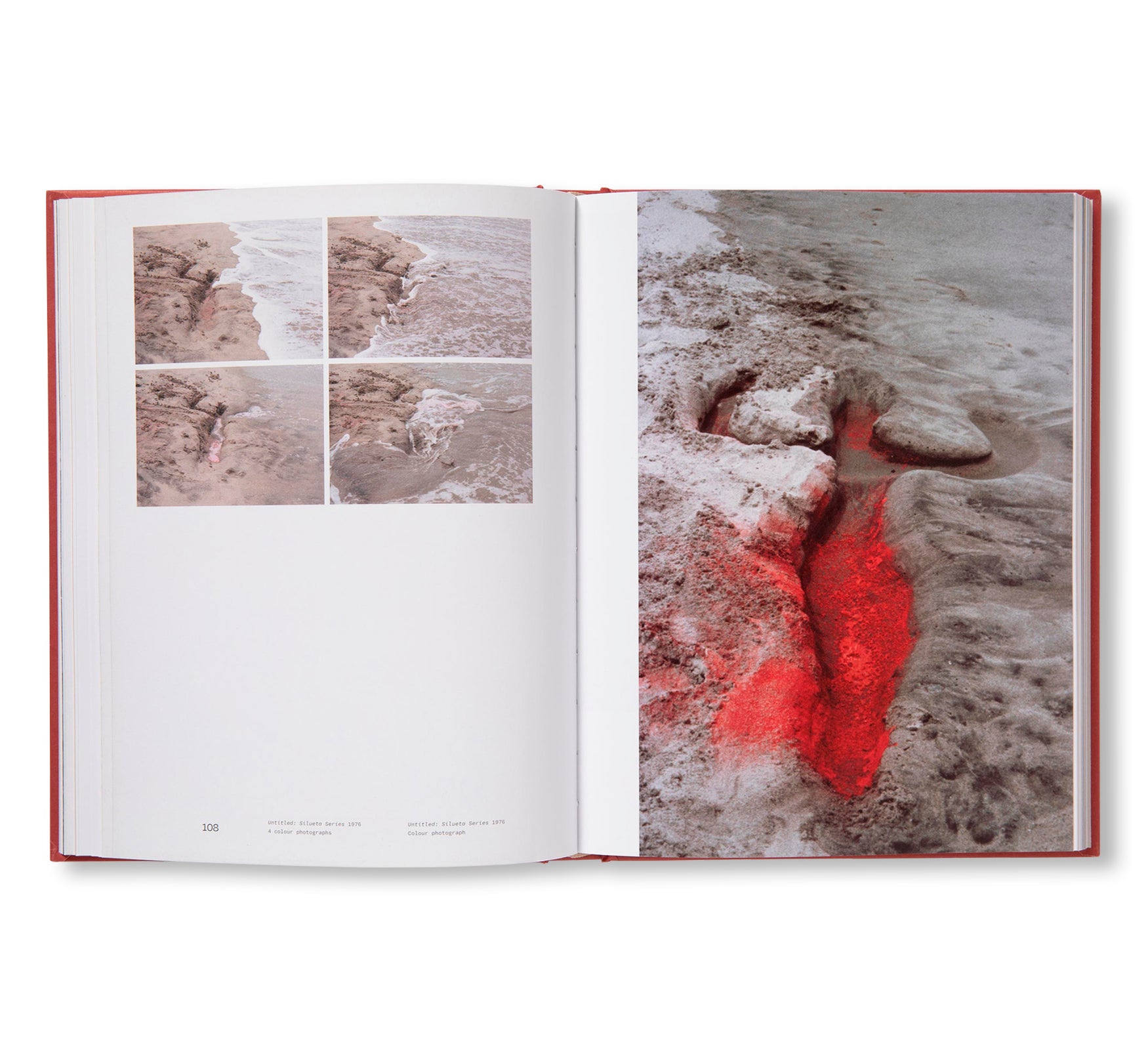 ANA MENDIETA by Ana Mendieta (TATE PUBLISHING)