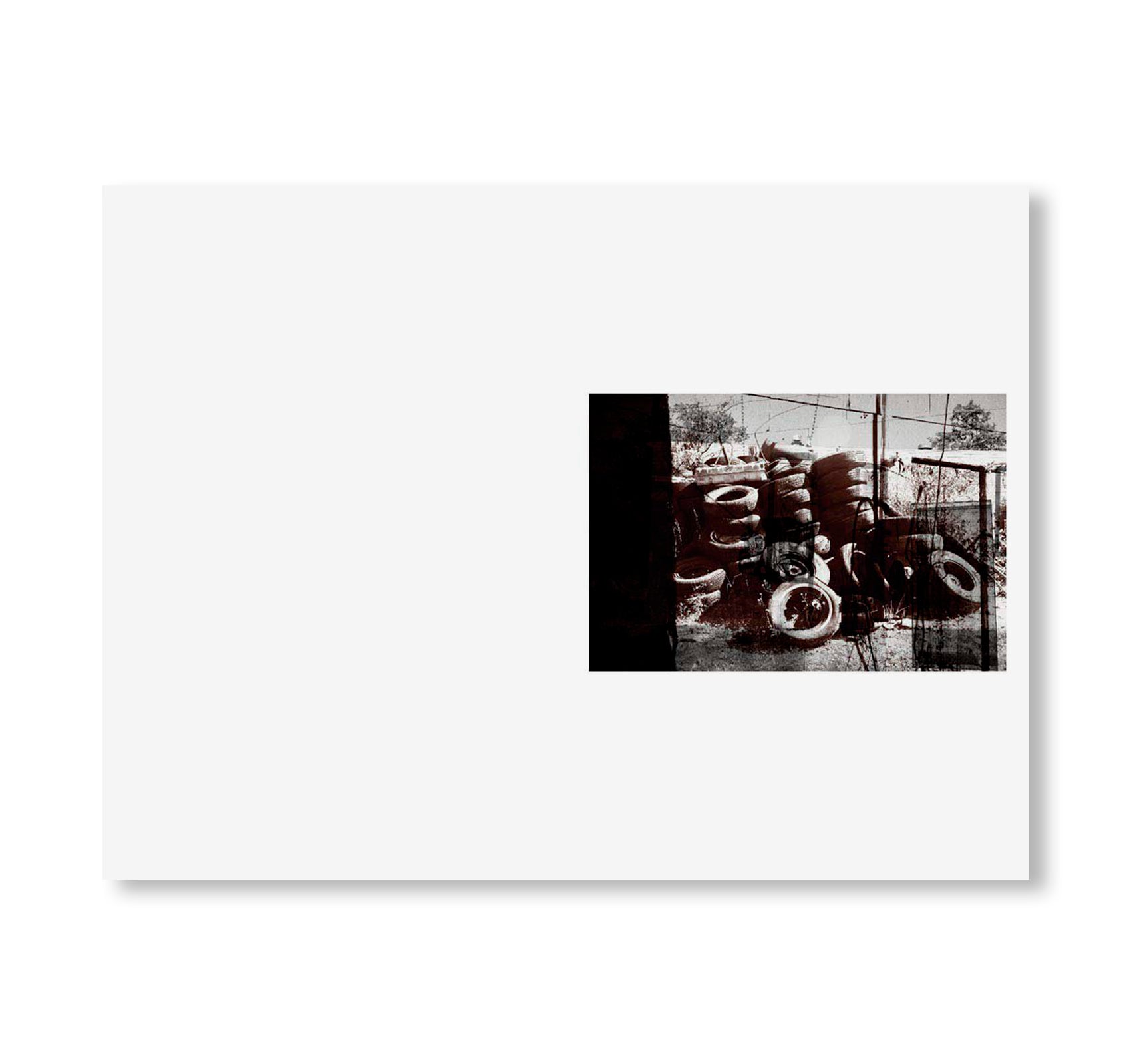 SWAMP by Christopher Wool [SIGNED]