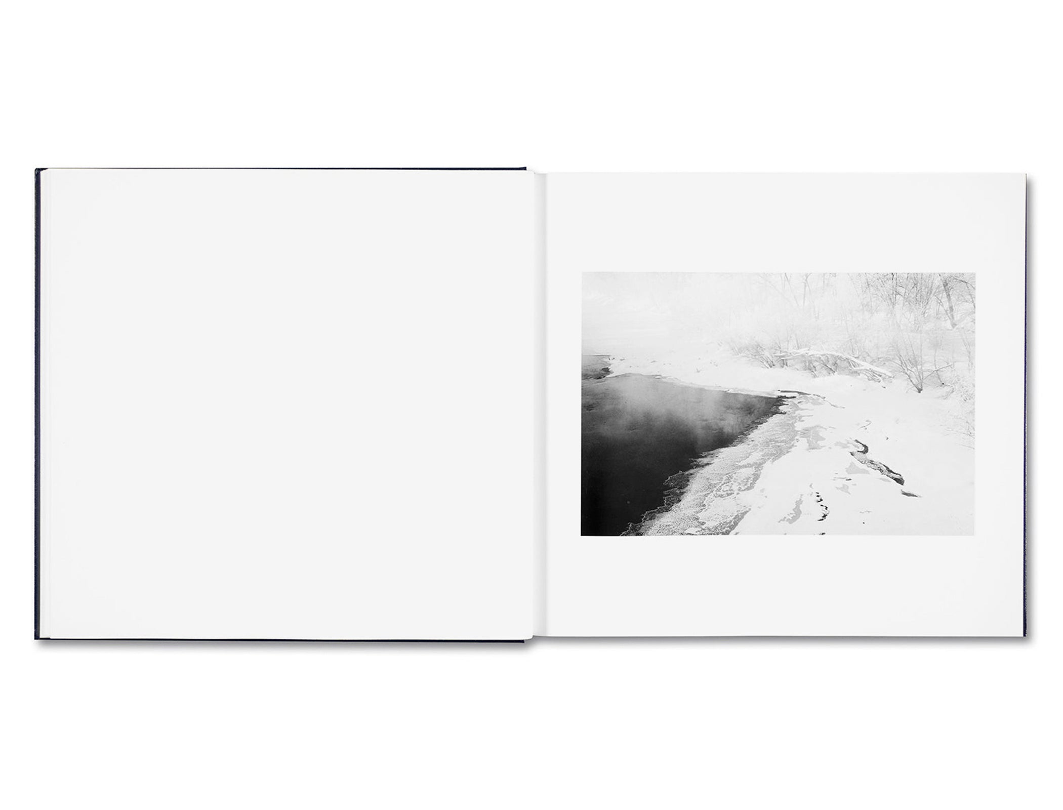 SOME SAY ICE by Alessandra Sanguinetti [DIRECT SIGNED]