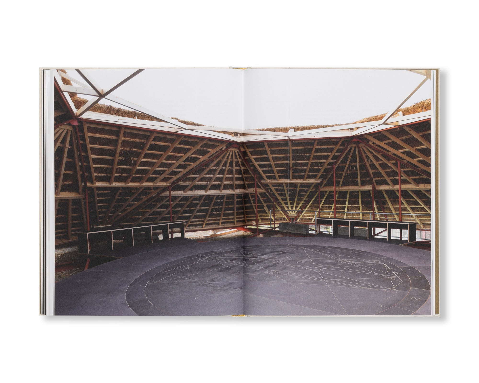 HILMA AF KLINT: VISIONARY by Hilma af Klint