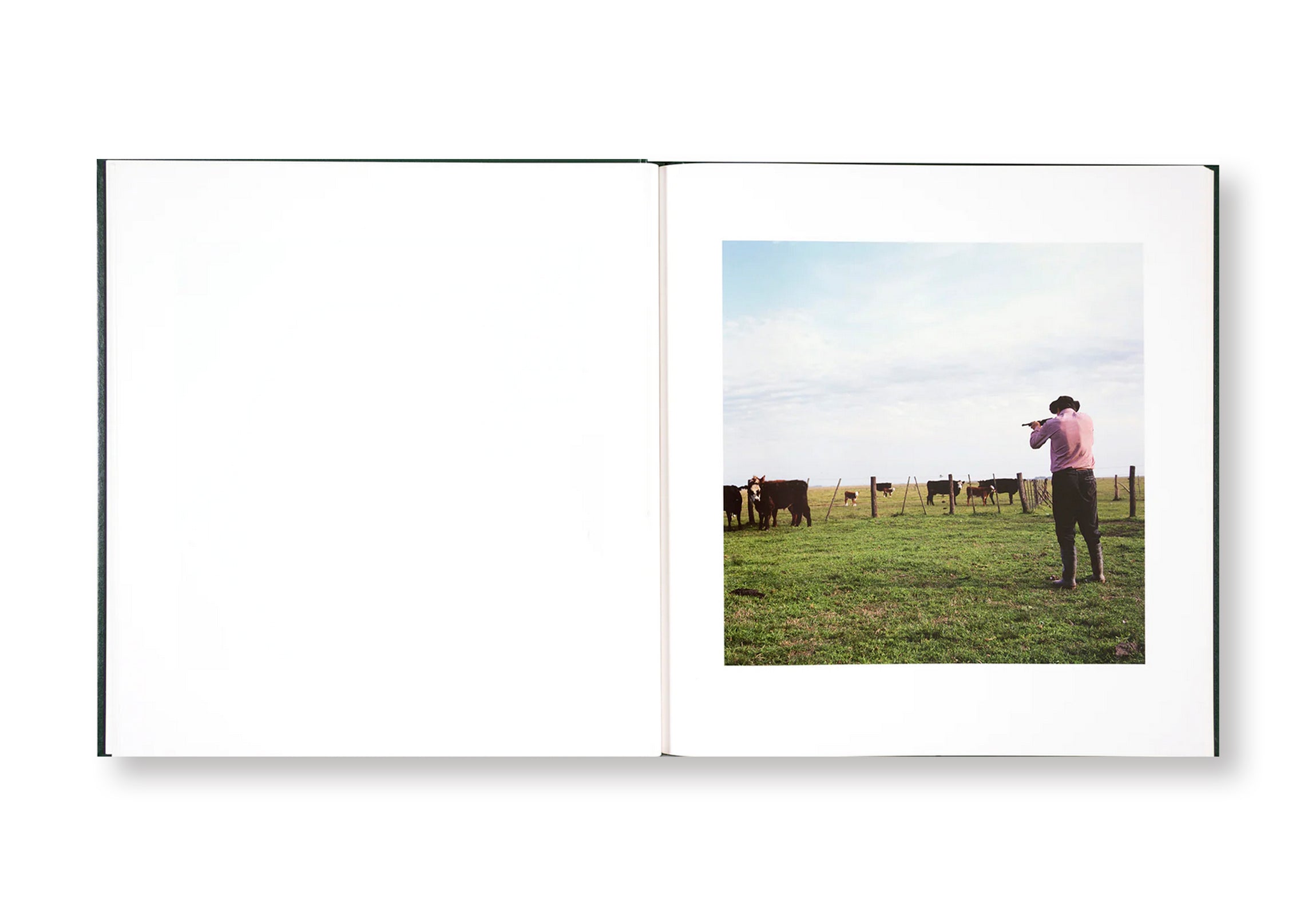 ON THE SIXTH DAY by Alessandra Sanguinetti  [SIGNED]