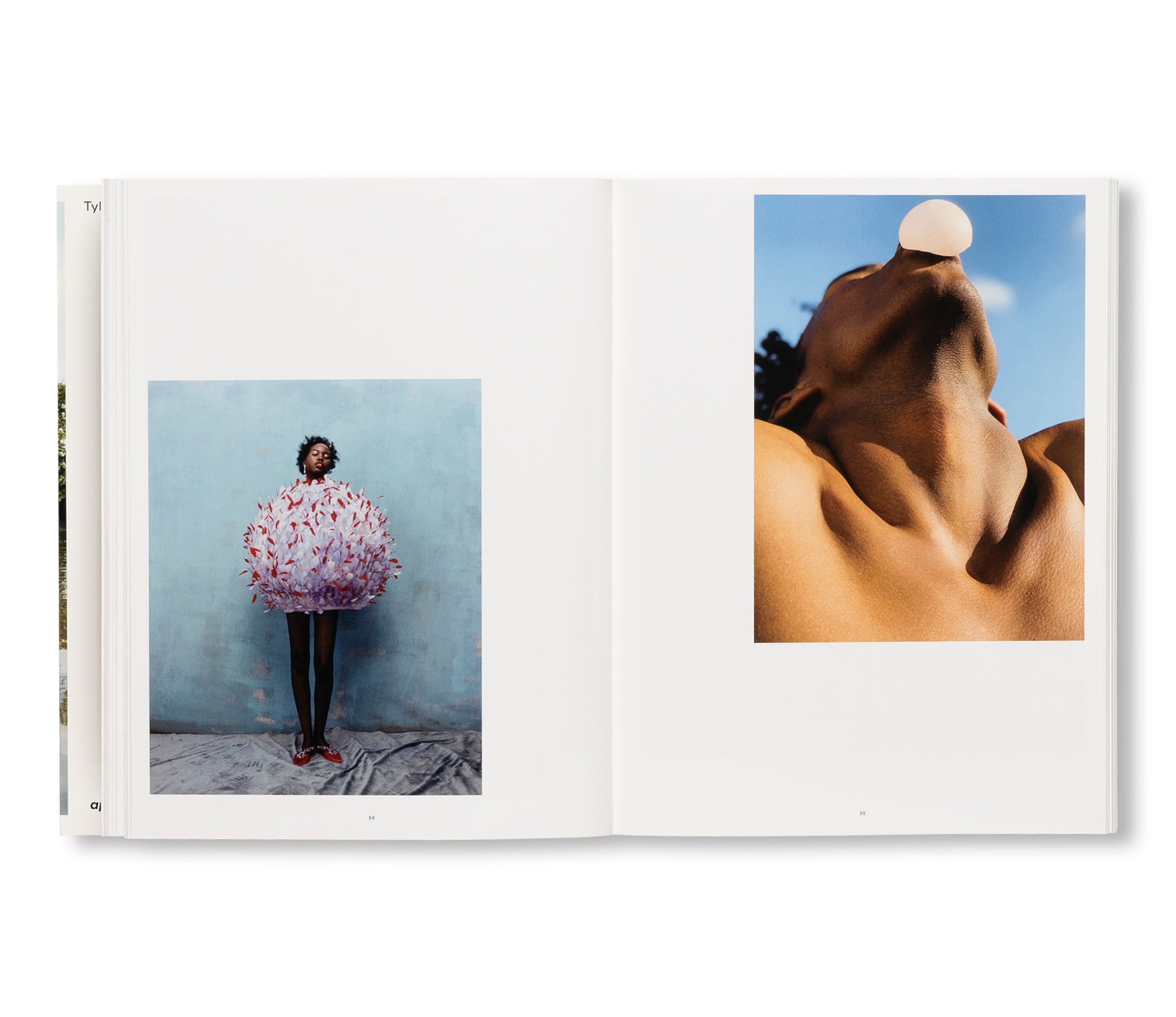 WISH THIS WAS REAL by Tyler Mitchell