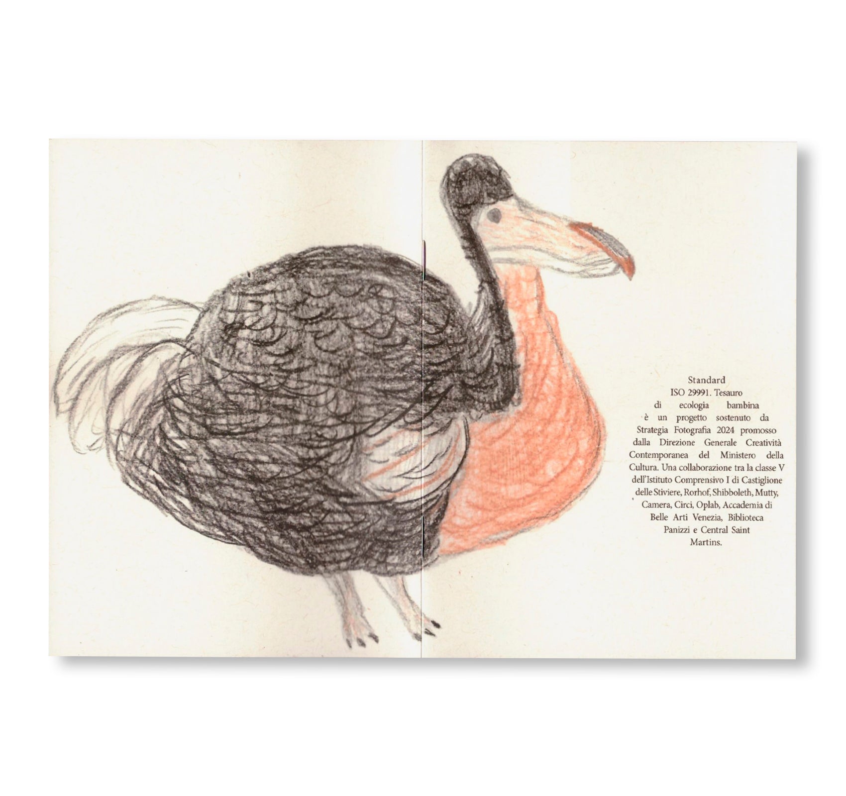 DODO NOTEBOOKS