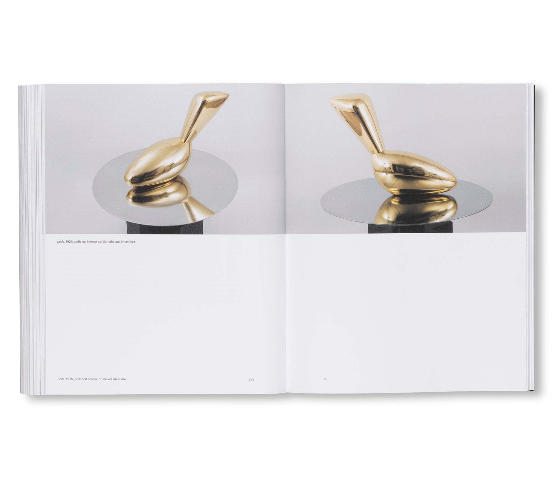 BRANCUSI by Constantin Brancusi
