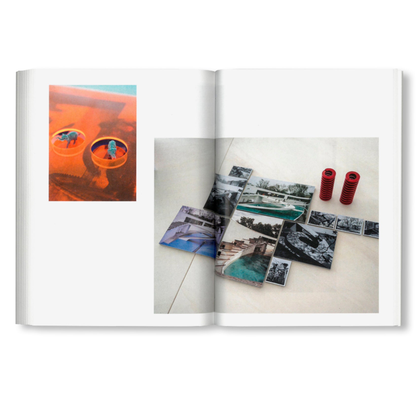 NOT A PENGUIN POOL: ECHOES OF MORE-THAN-HUMAN ENTANGLEMENTS / Bauhaus Paperback 28 by Stiftung Bauhaus Dessau