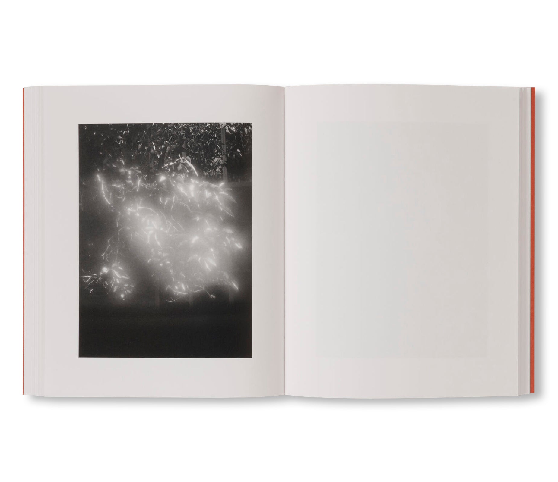 BETWEEN THE SKIN AND SEA by Katrin Koenning