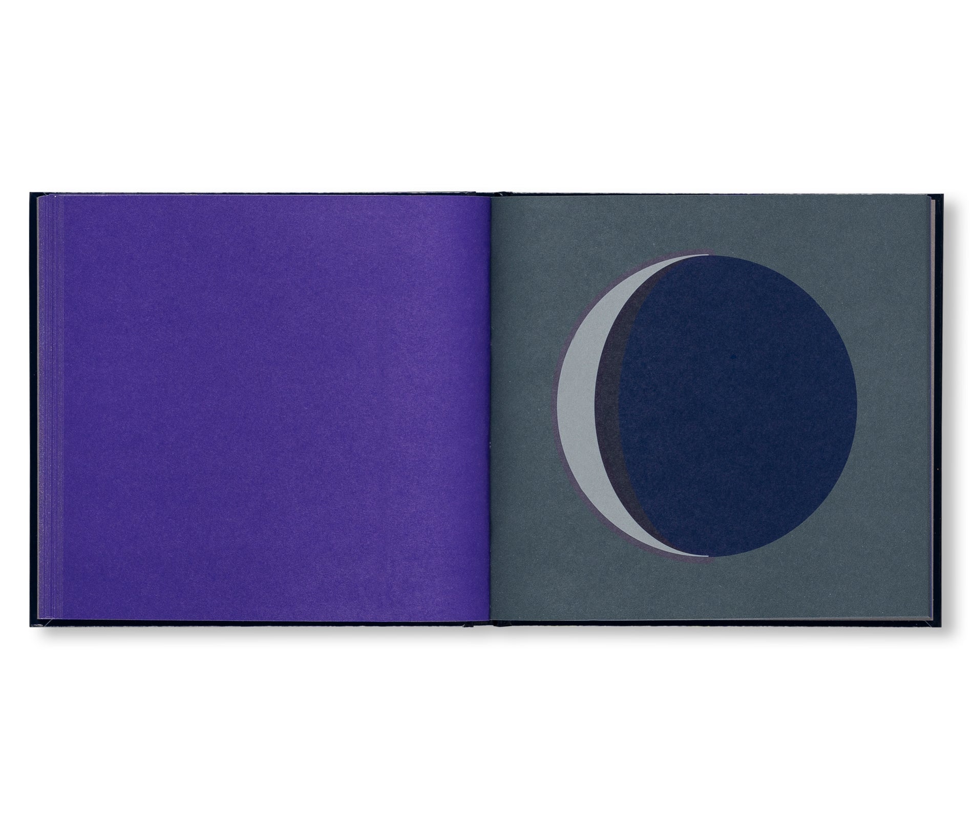 DANS LA LUNE by Fanette Mellier [THIRD EDITION]