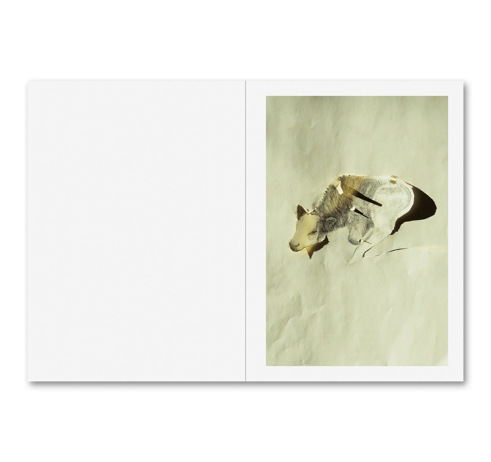 LA CASA ISLA by Anne Golaz