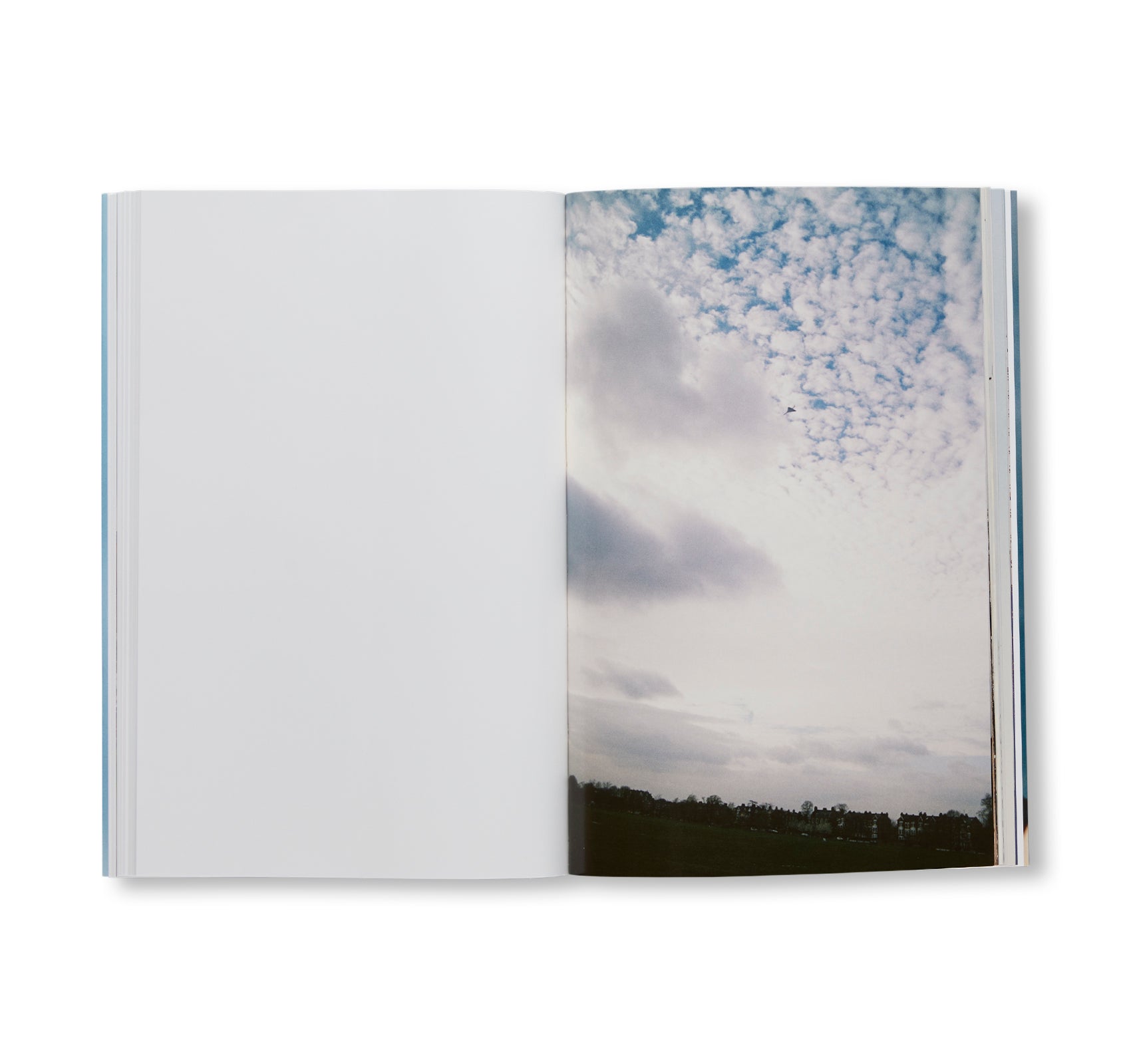 CONCORDE by Wolfgang Tillmans