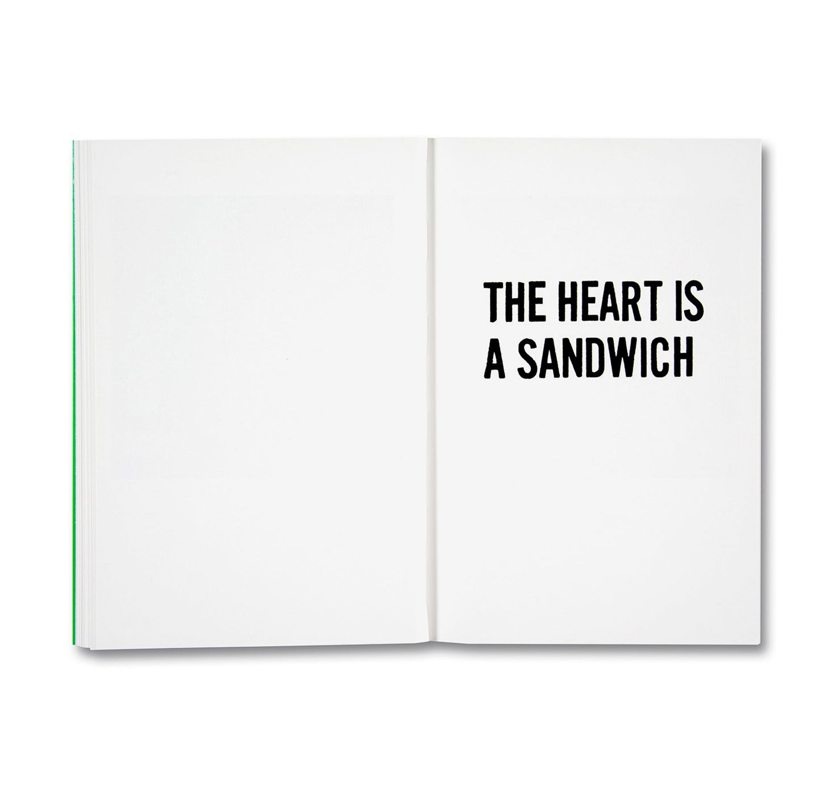 THE HEART IS A SANDWICH by Jason Fulford