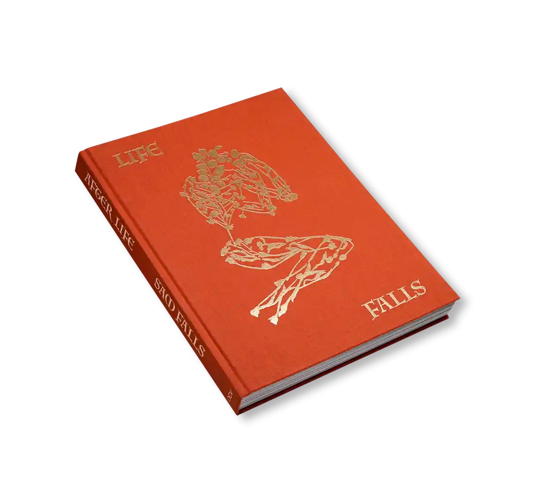 AFTER LIFE by Sam Falls