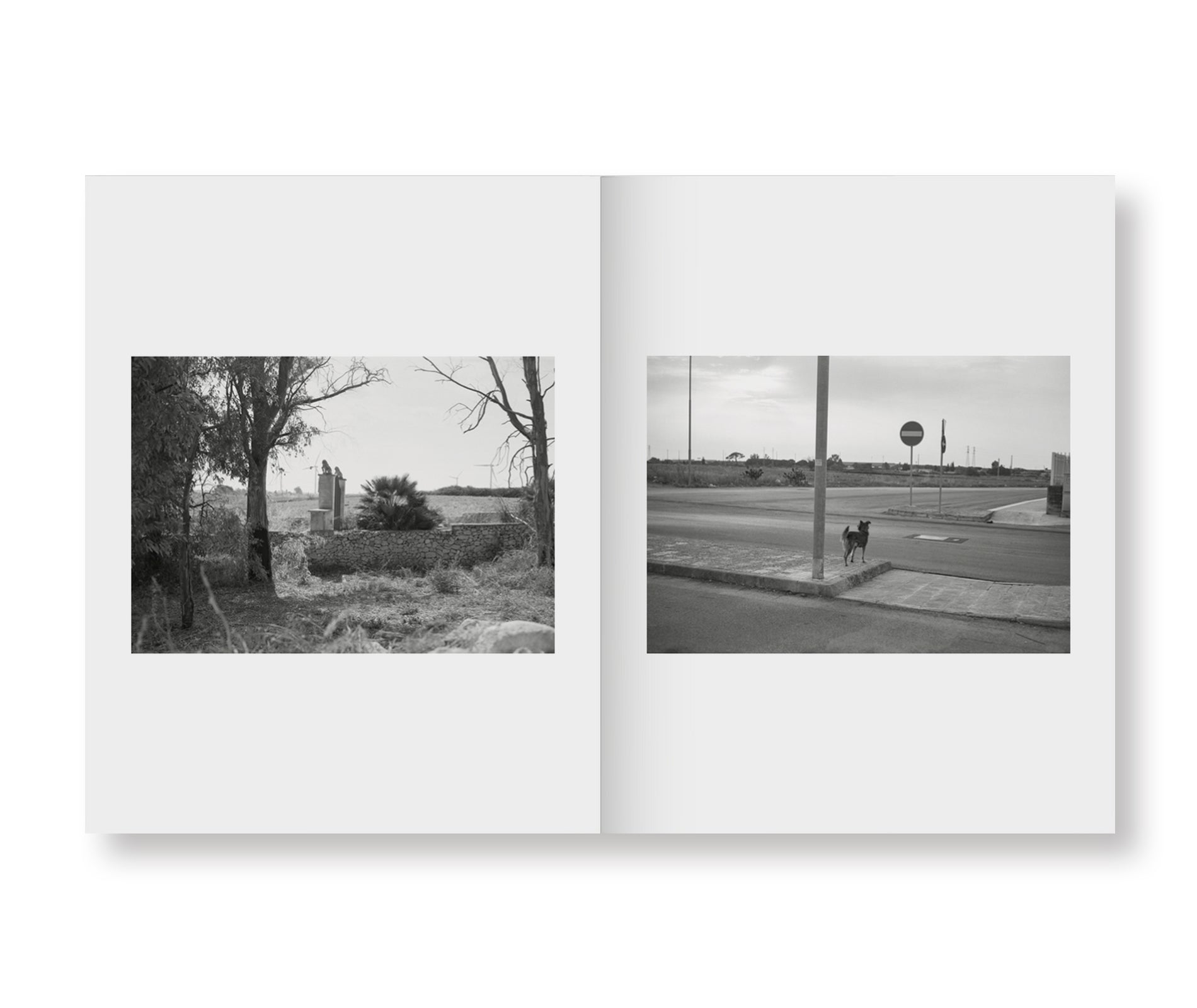 INSIEME by Irina Rozovsky, Mark Steinmetz