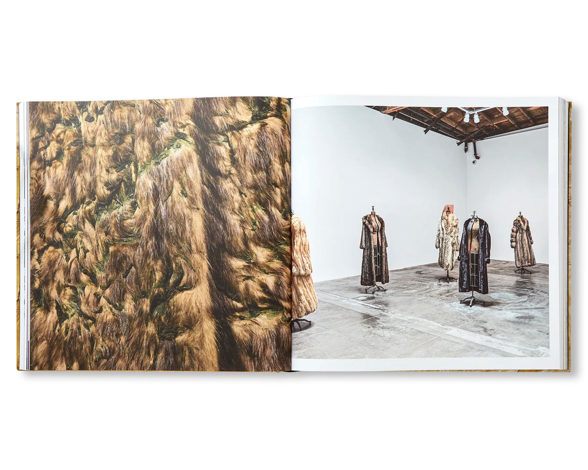 DAVID HAMMONS by David Hammons (HAUSER & WIRTH)