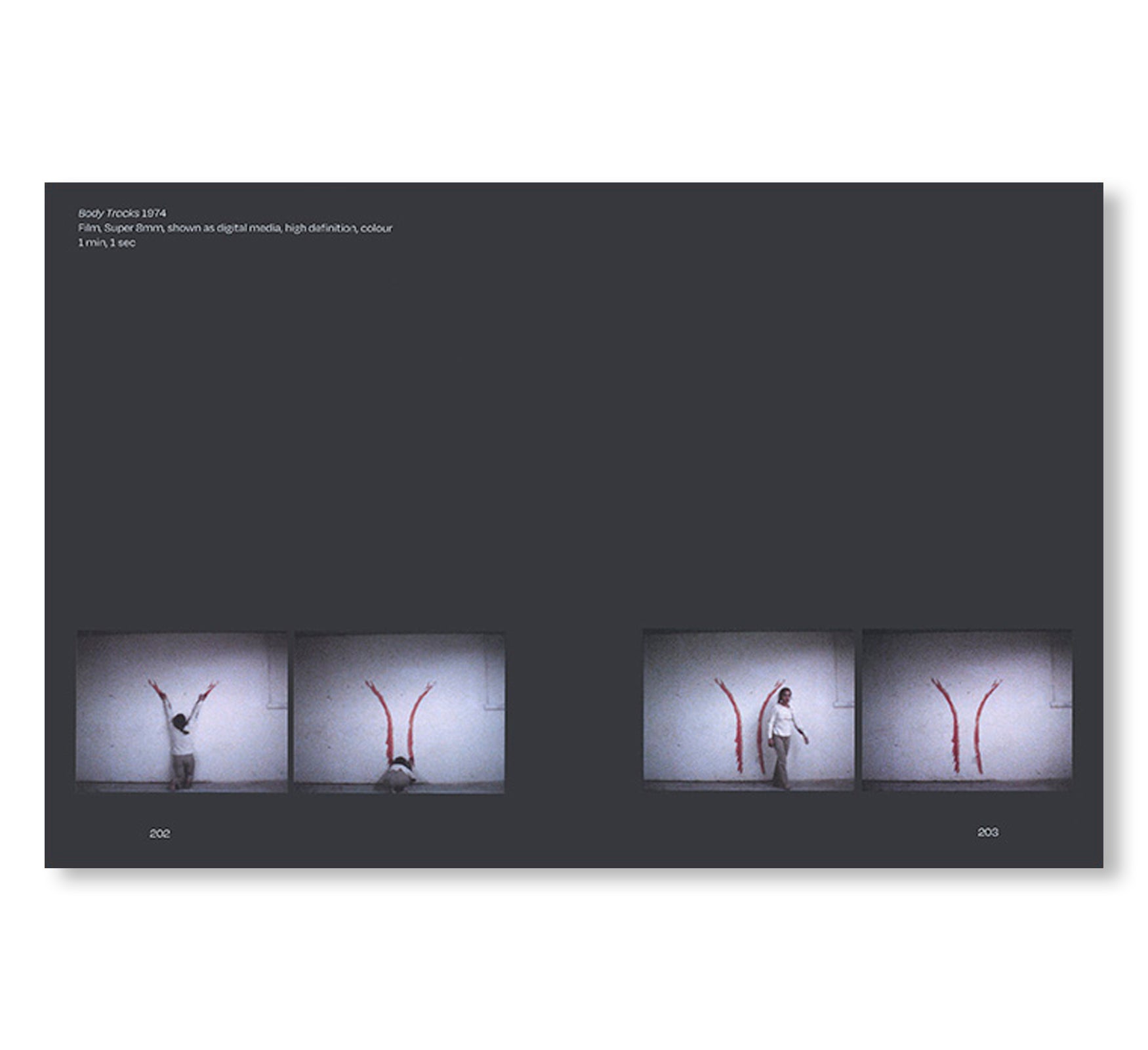 ANA MENDIETA by Ana Mendieta (TATE PUBLISHING)