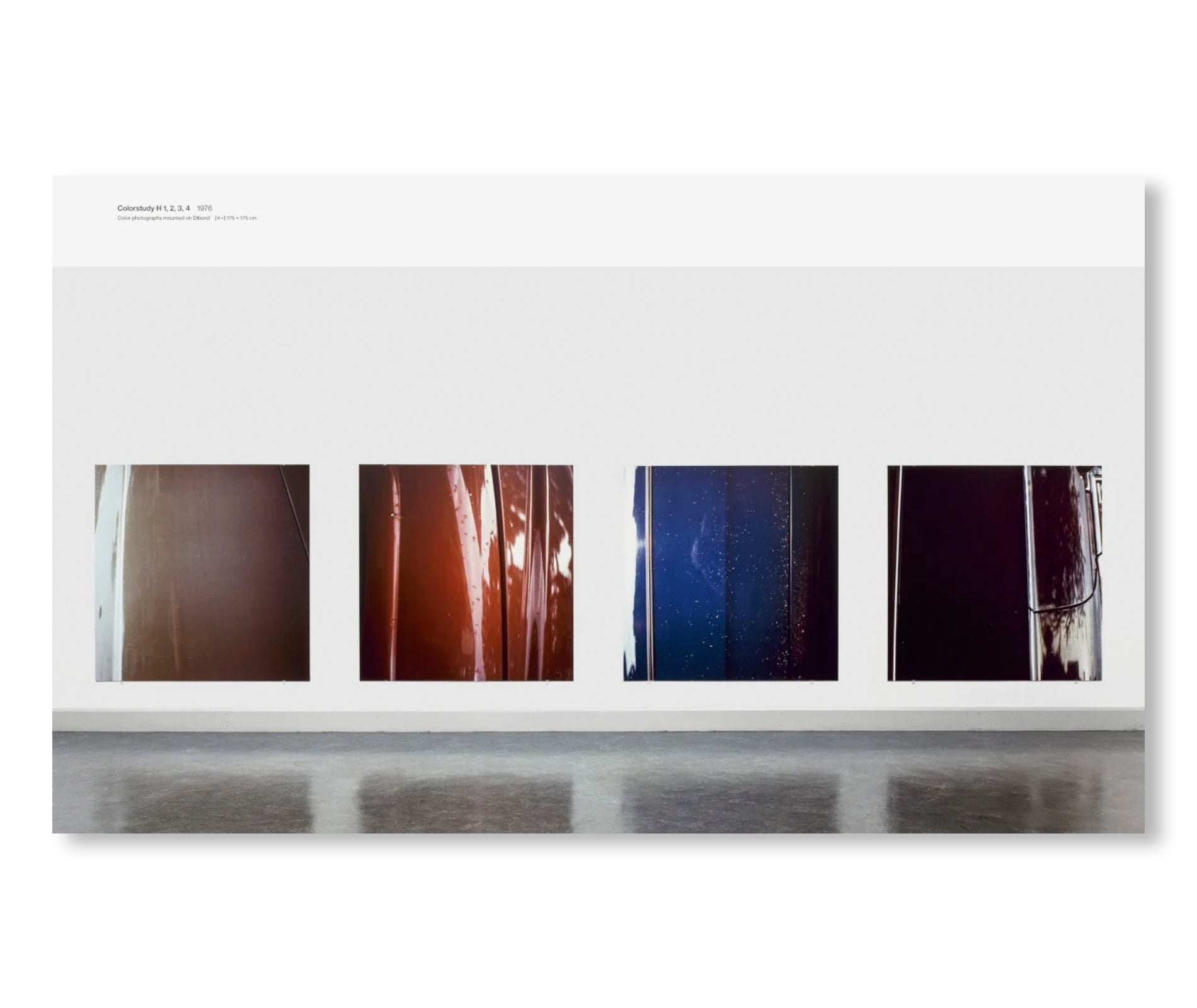 JAN DIBBETS 1966-1976: TOWARD ANOTHER PHOTOGRAPHY by Jan Dibbets