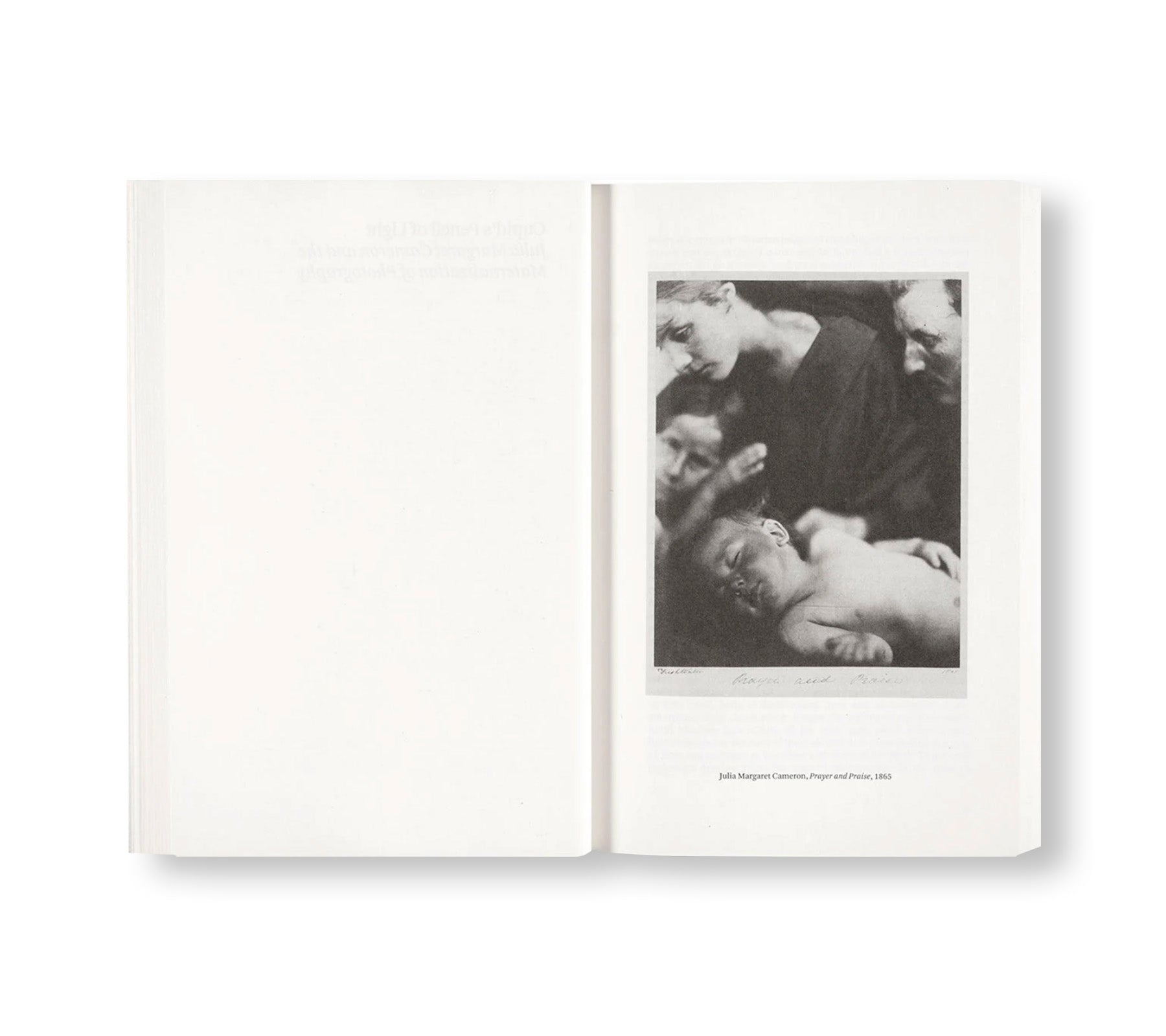 PAINTING PHOTOGRAPHY PAINTING: SELECTED ESSAYS by Carol Armstrong