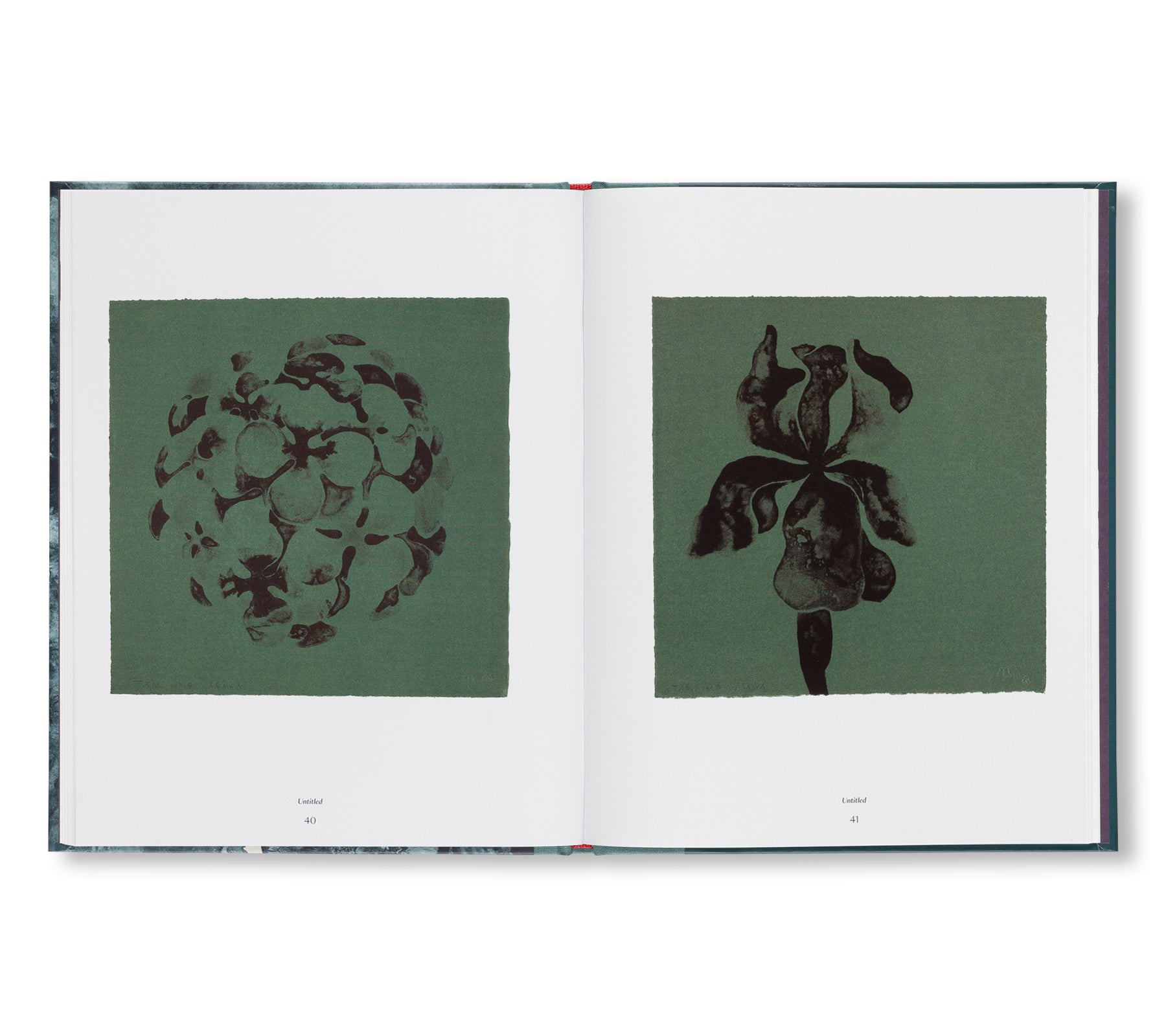 THE TAMARIND PRINTS by Ruth Asawa