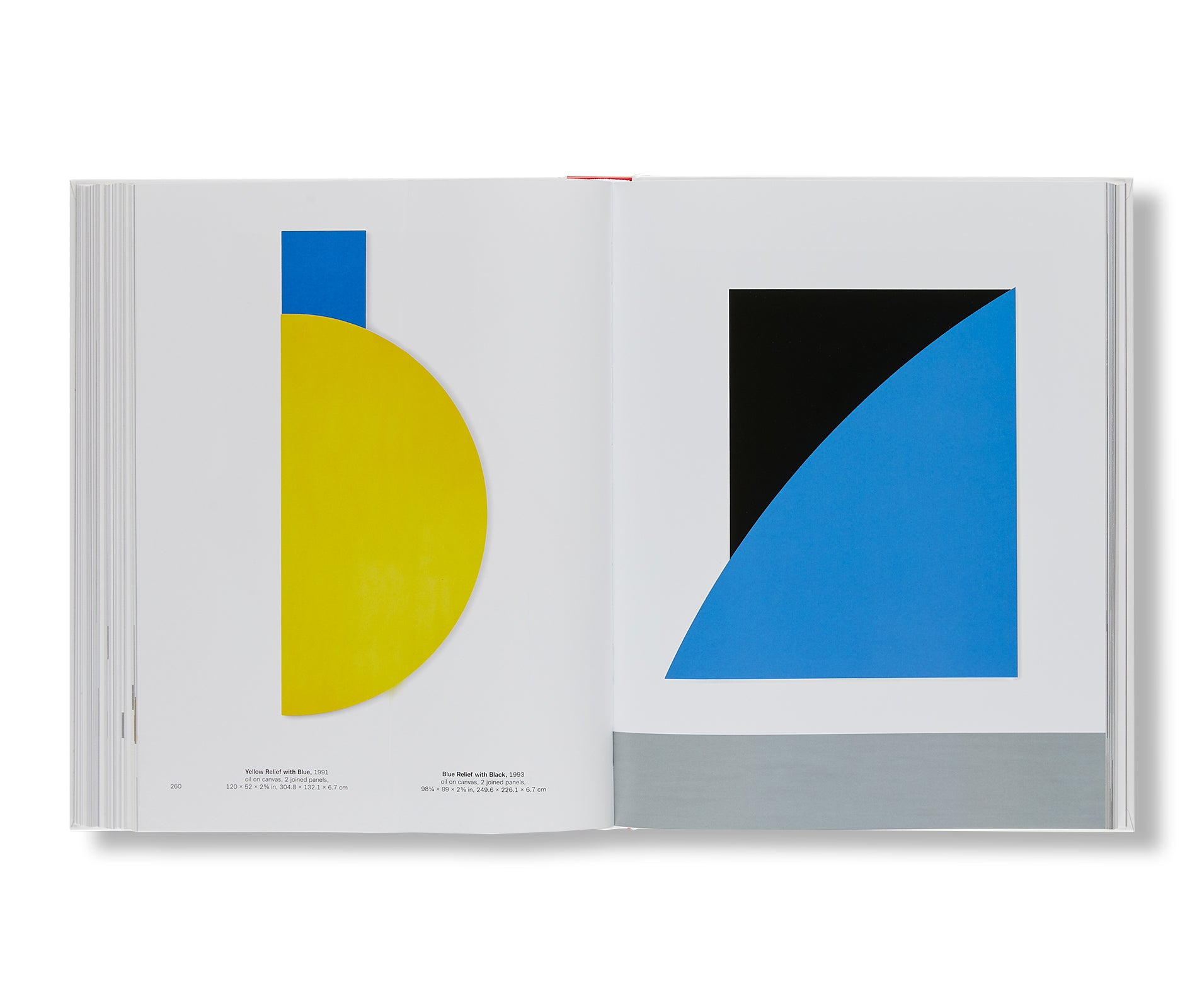 ELLSWORTH KELLY (2015) by Ellsworth Kelly