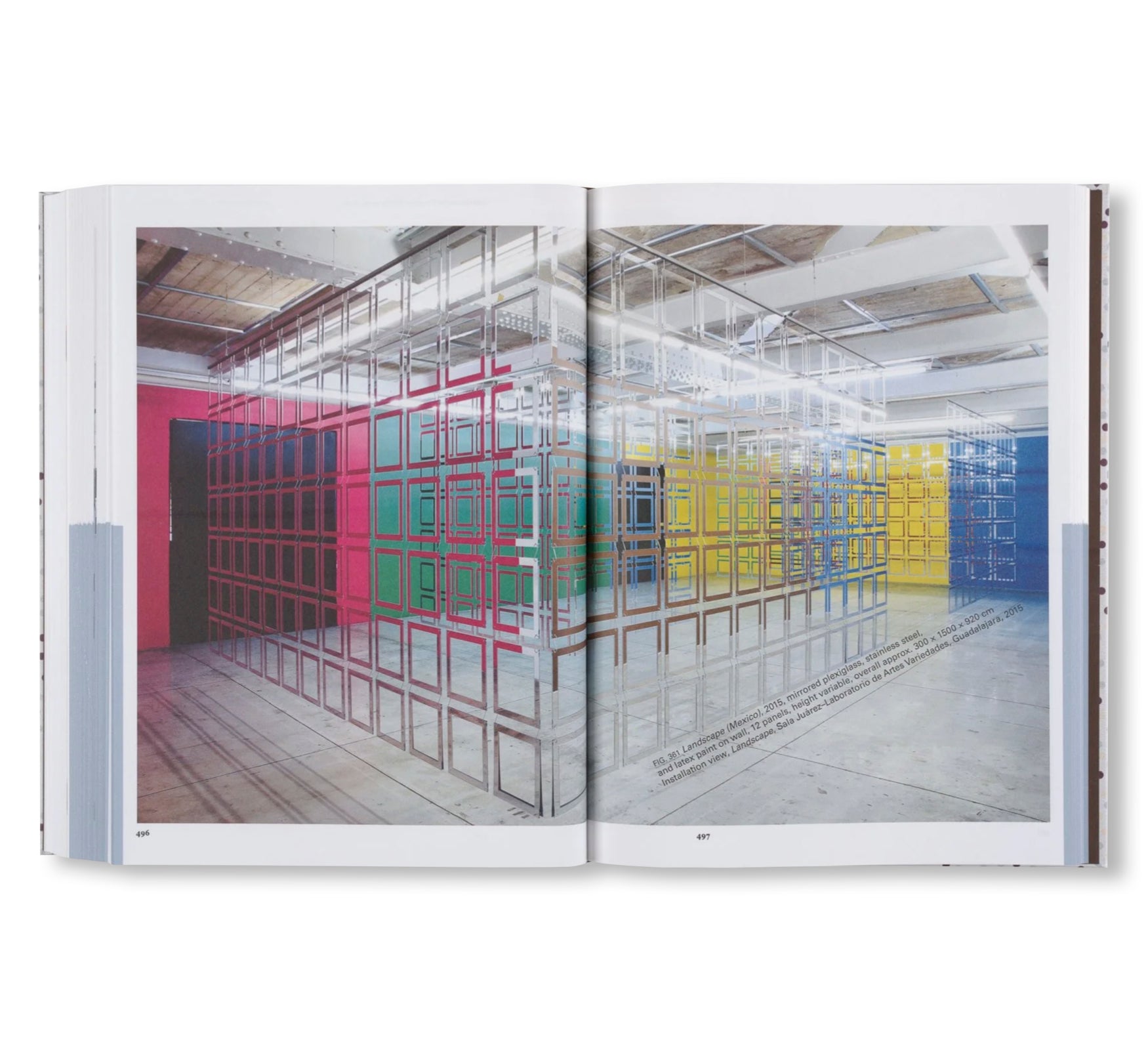 CARLA AROCHA AND STEPHANE SCHRAENEN: MONOGRAPH AS PROJECT by Carla Arocha & Stéphane Schraenen