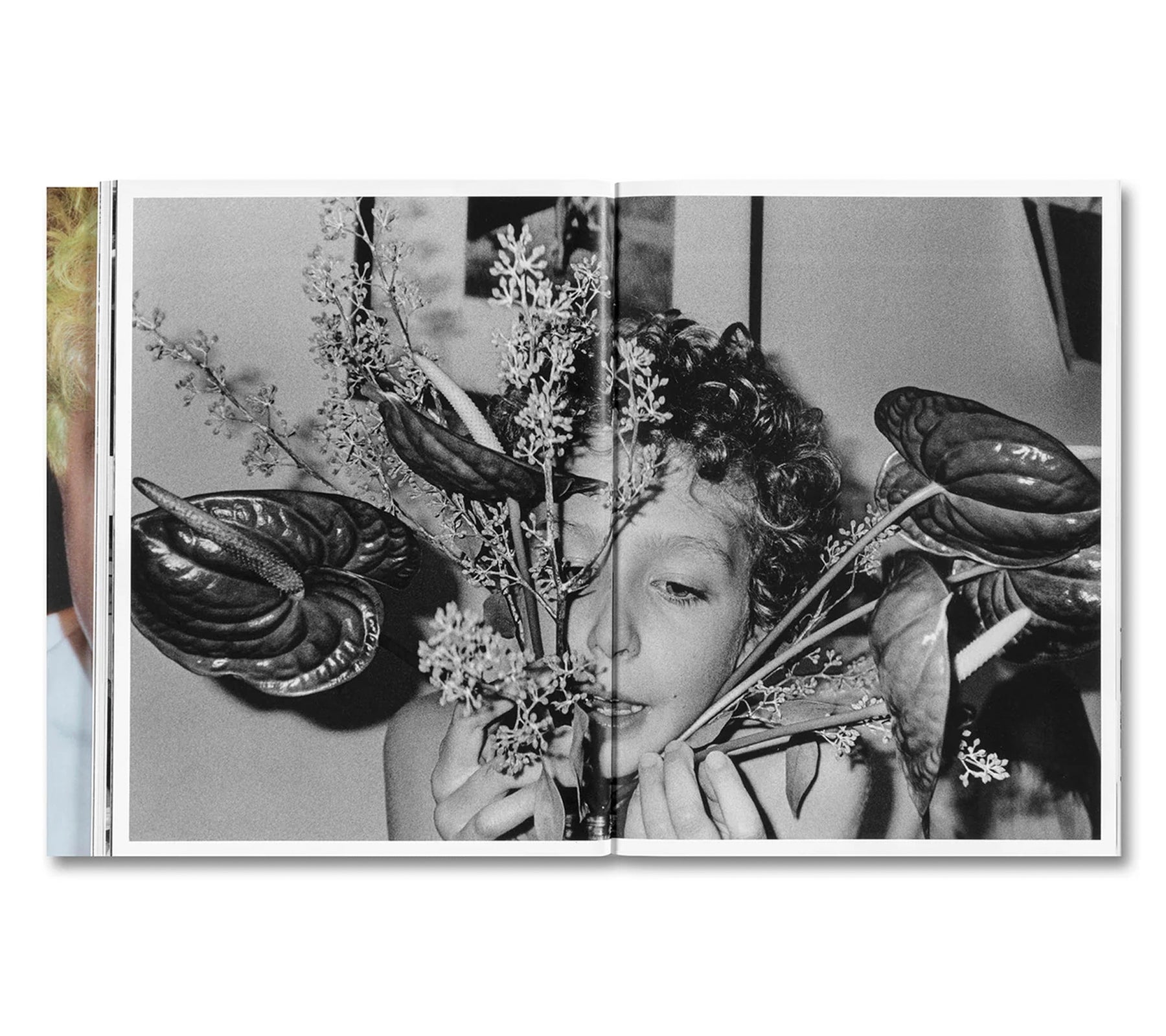 CHRONOGRAPH by Nick Haymes
