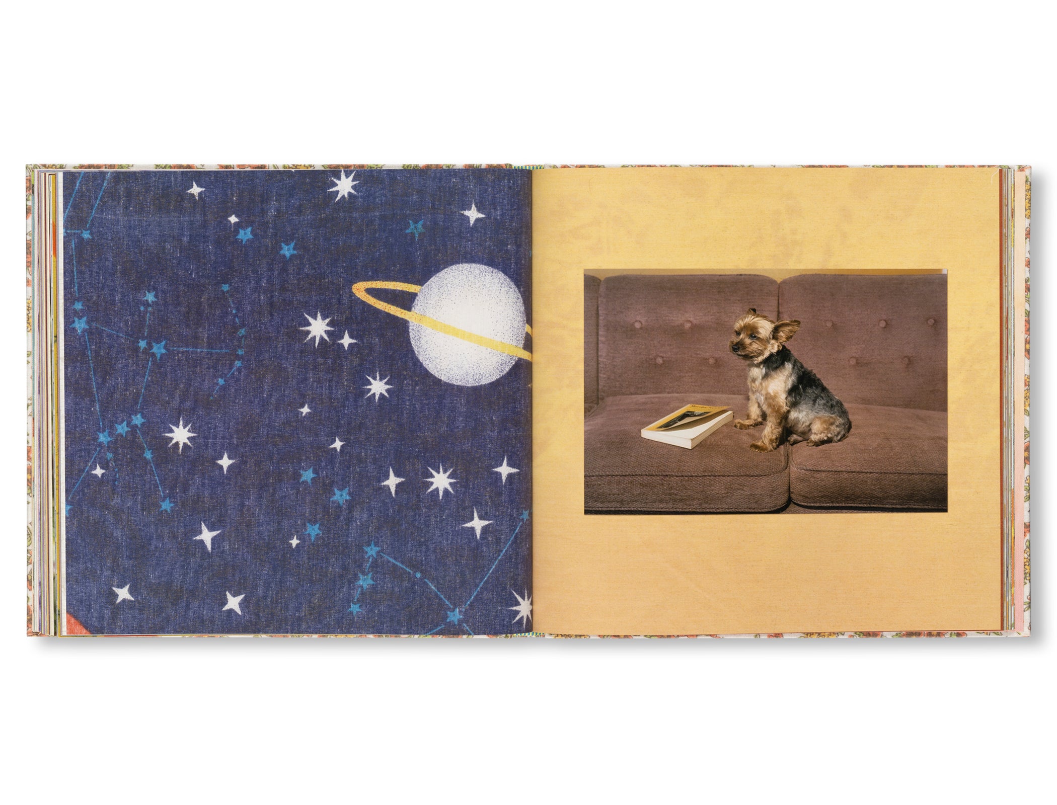 STONE SOUP by Eric Ruby