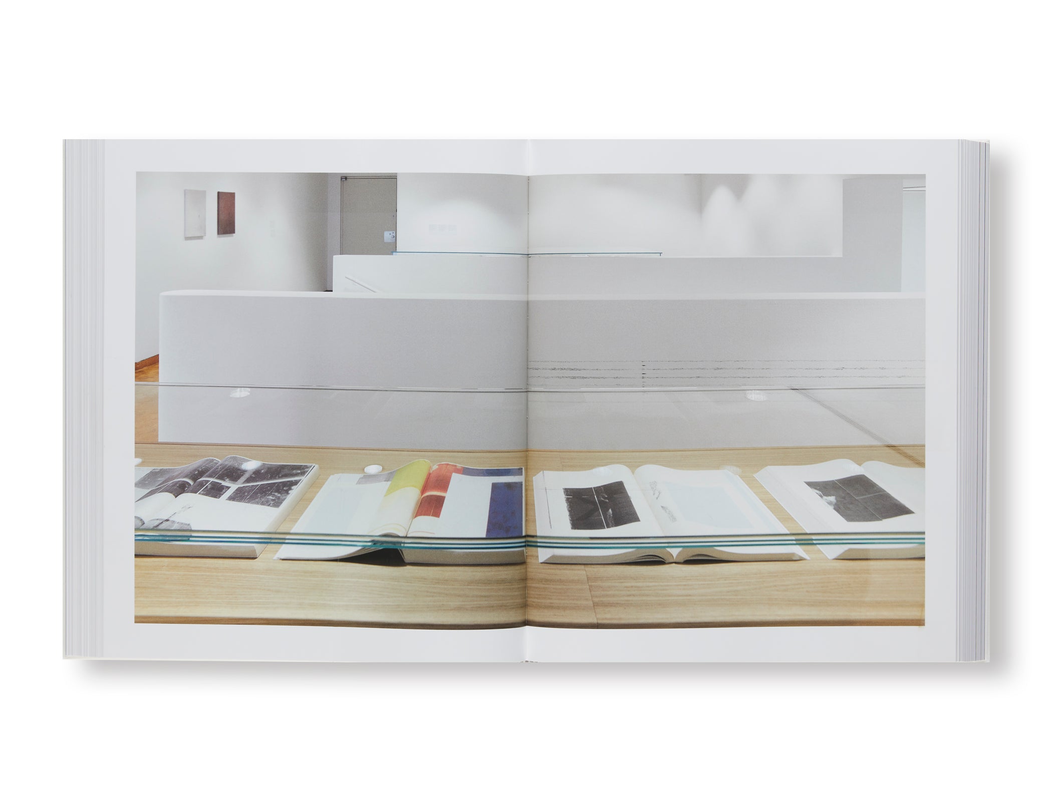 MCMXCIX–MMXIX Vol. II: ZWEI DEKADEN by Wade Guyton