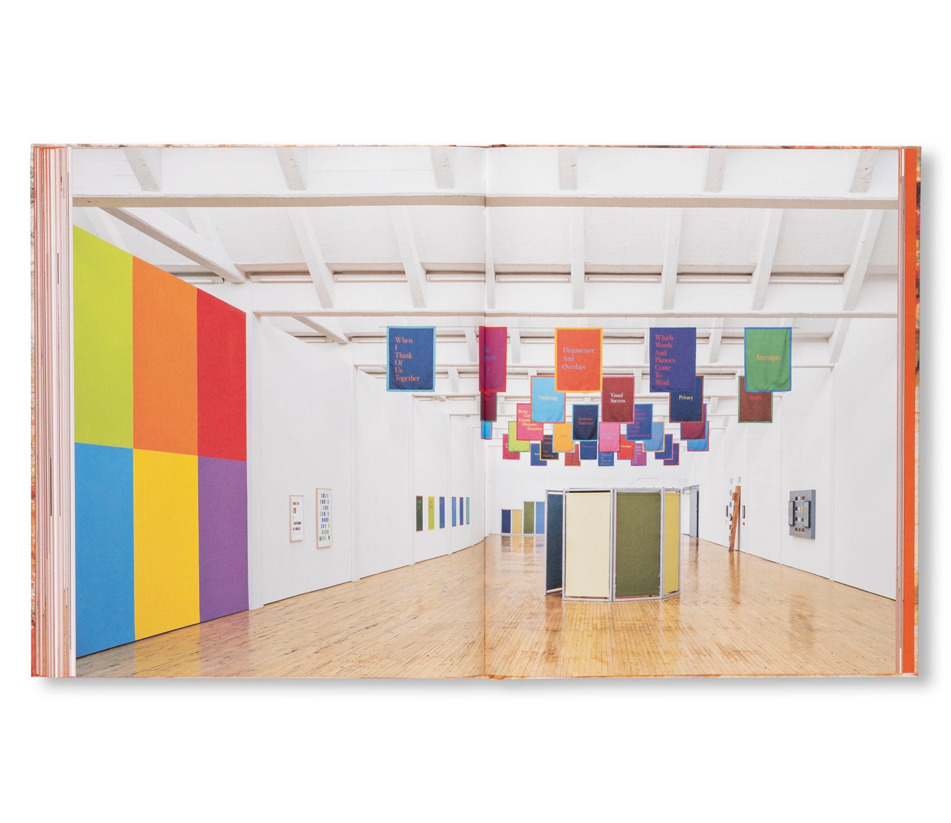 THE EQUATOR HAS MOVED by Renée Green