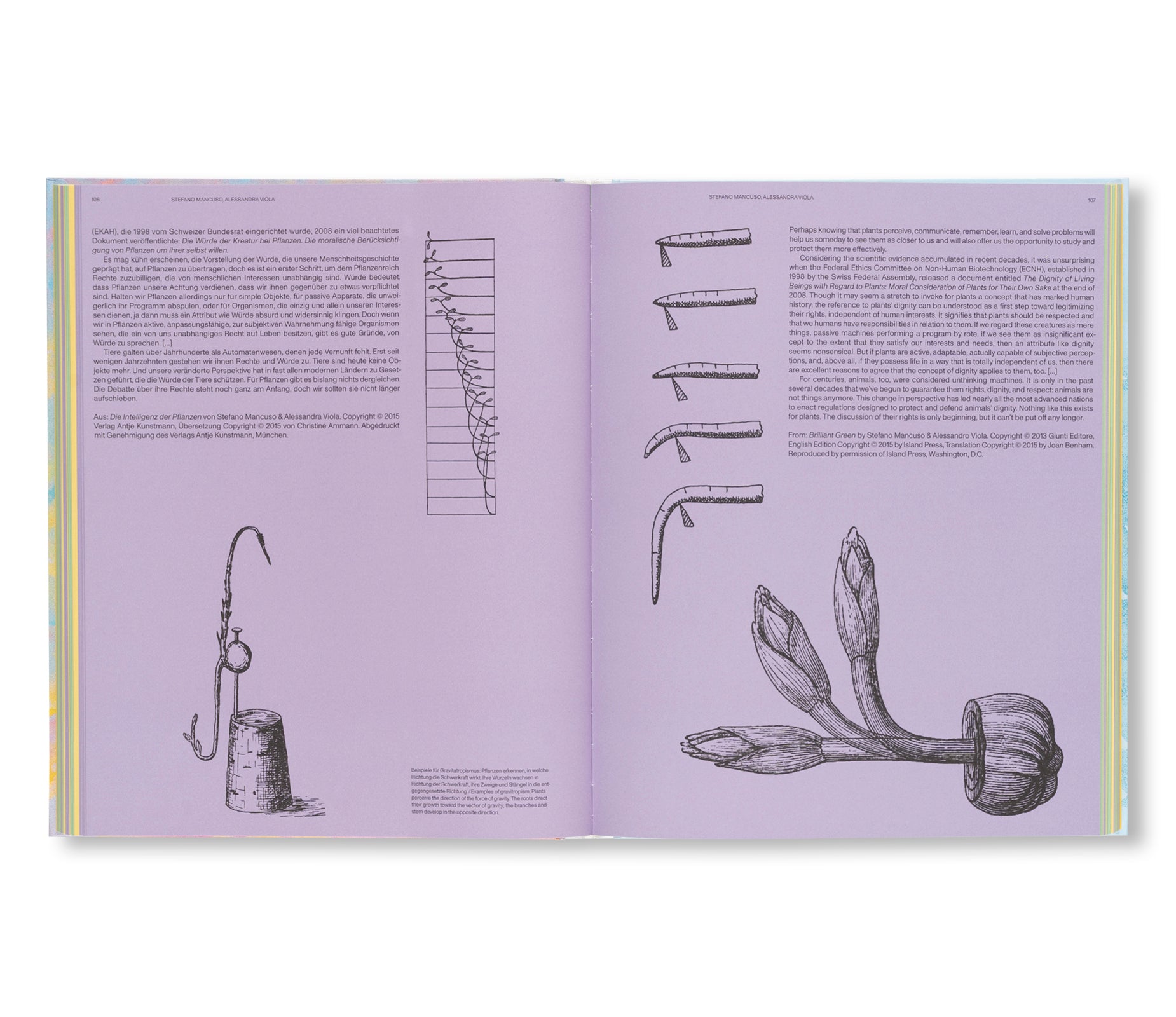 THE SENSES OF PLANTS