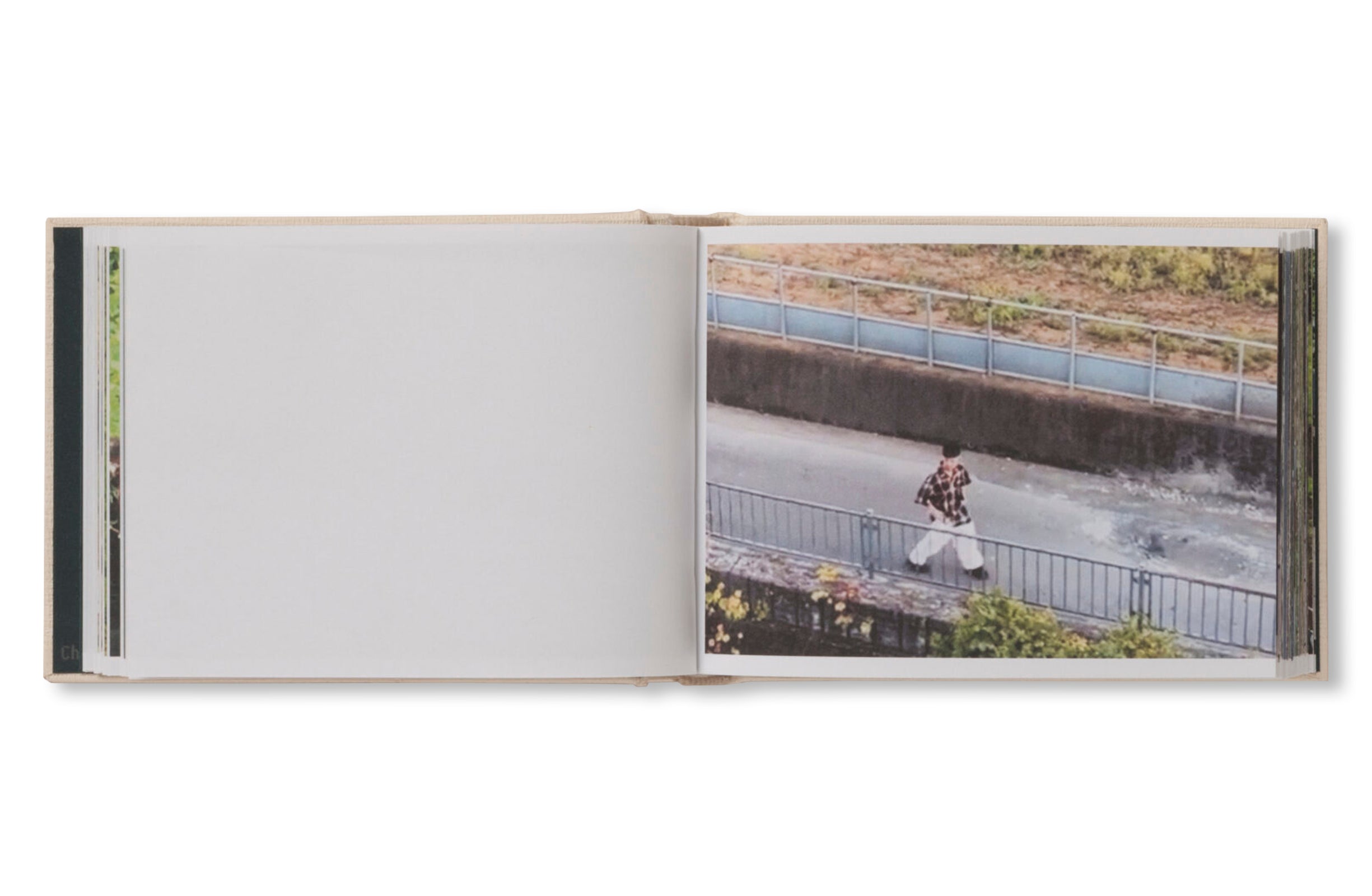 SCREENSHOTS FROM A SERIES OF VIDEOS ABOUT A RICE FIELD AND ITS SURROUNDINGS by Cintia Tortosa Santisteban