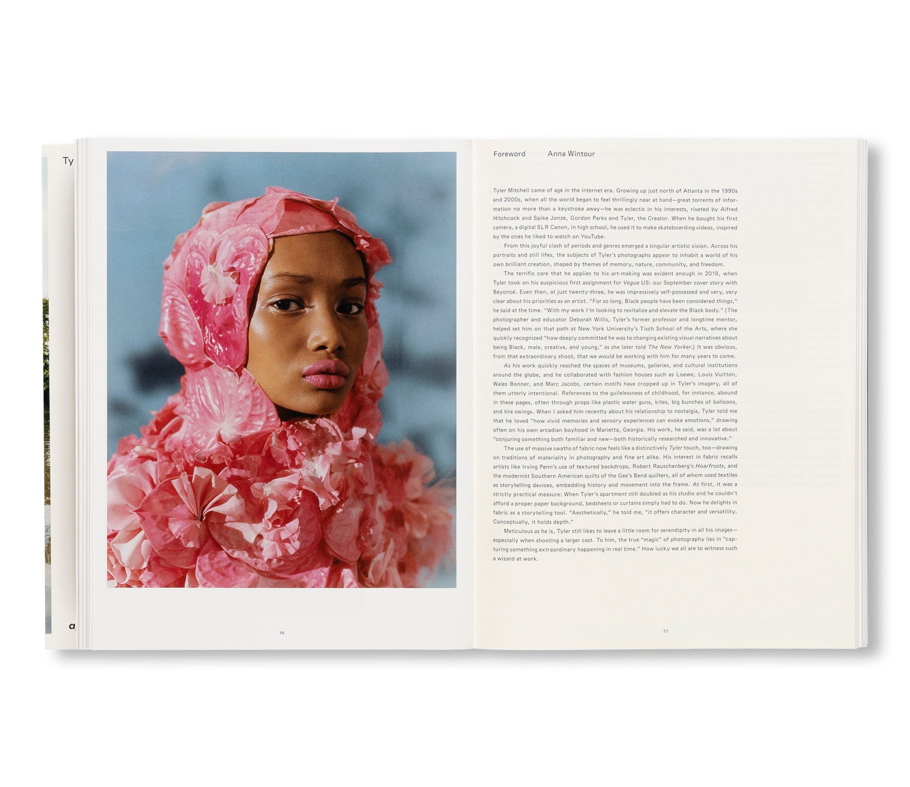 WISH THIS WAS REAL by Tyler Mitchell