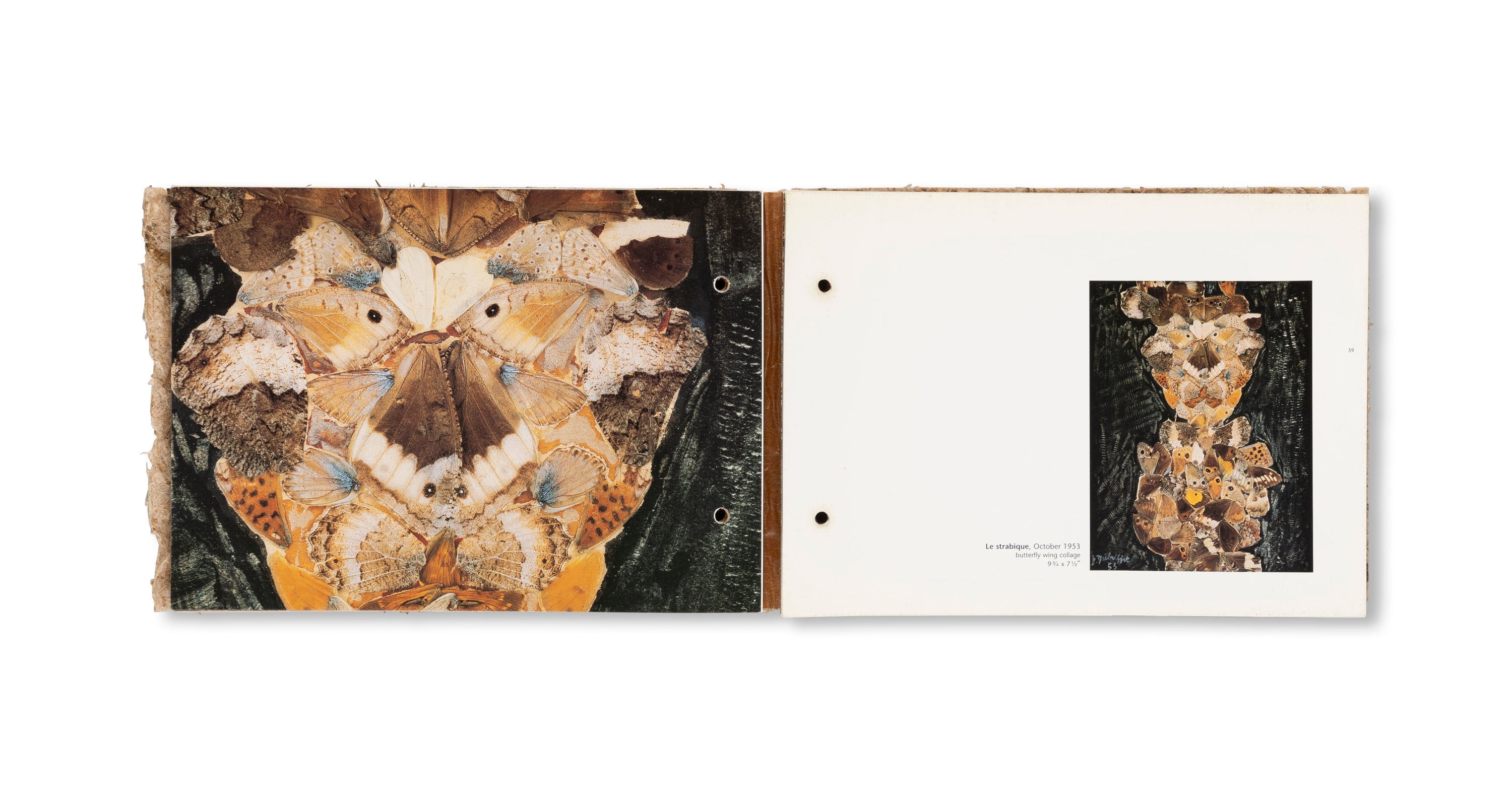 THE RADIANT EARTH by Jean Dubuffet [COVER B]