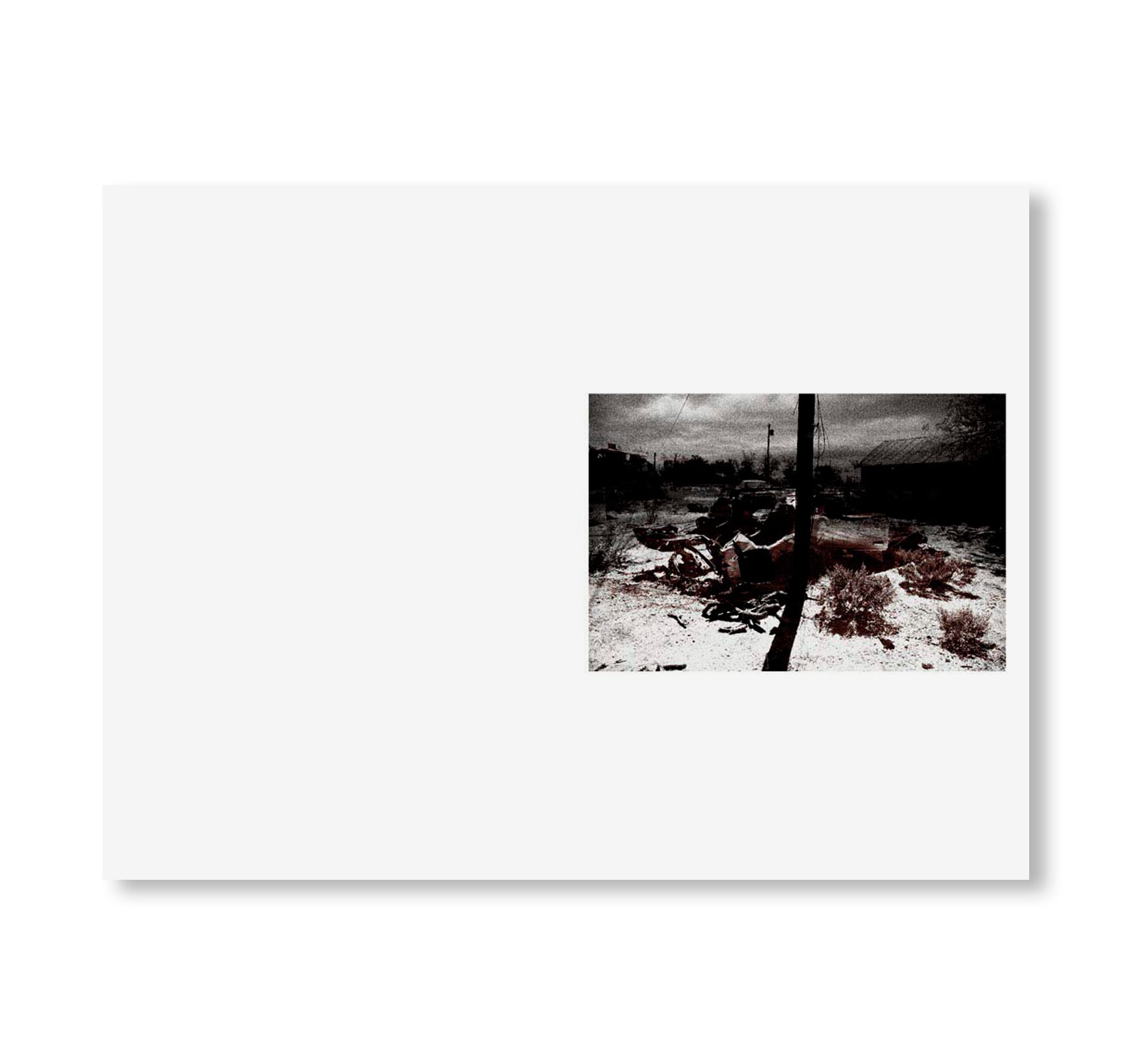 SWAMP by Christopher Wool [SIGNED]