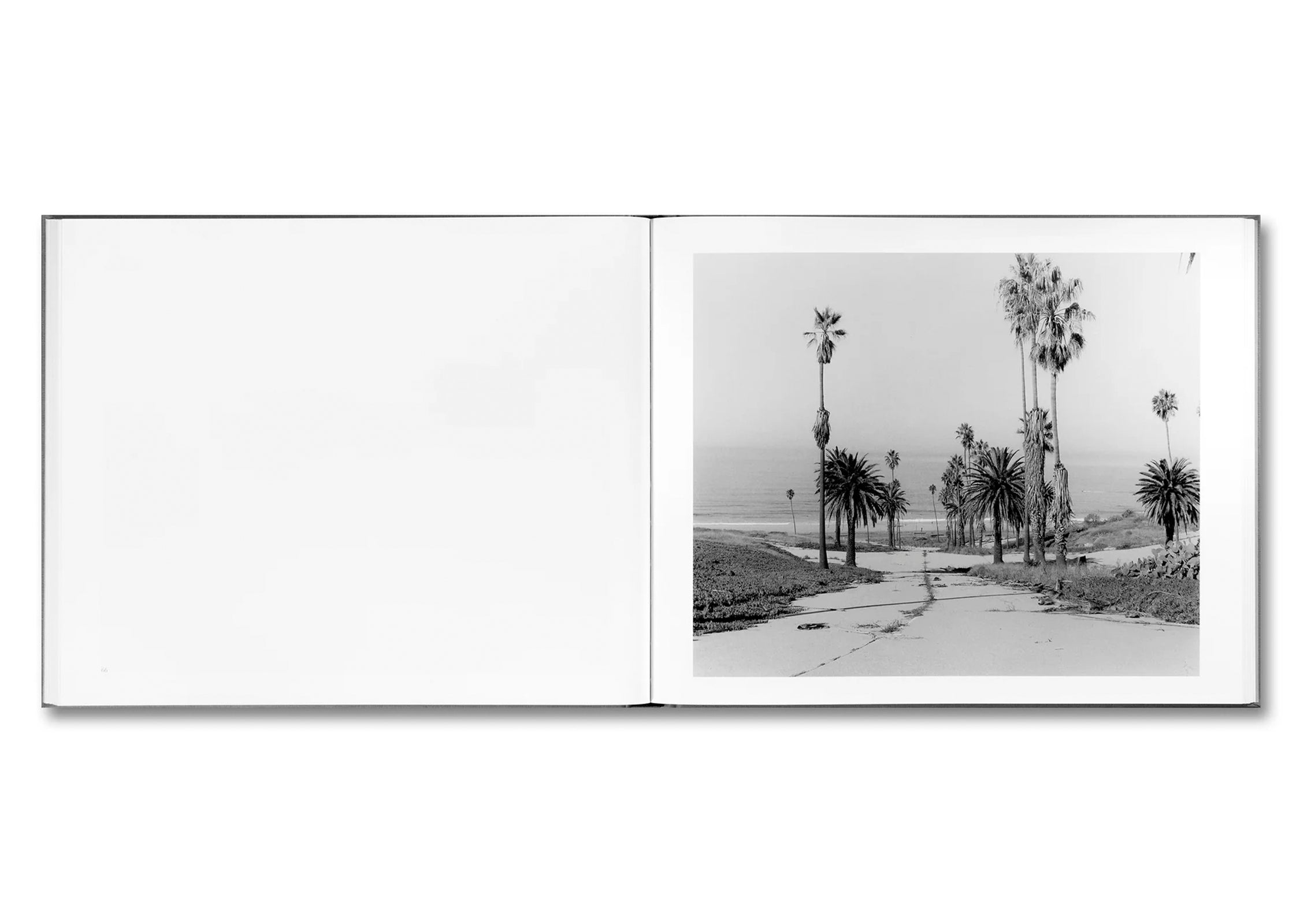 THE WESTERN EDGE by Mark Ruwedel